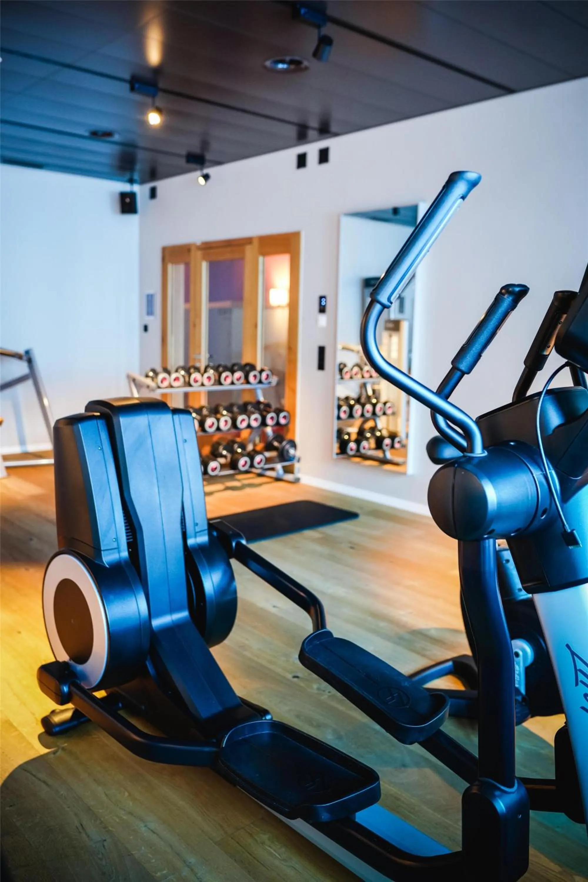 Fitness centre/facilities in Frutt Mountain Resort