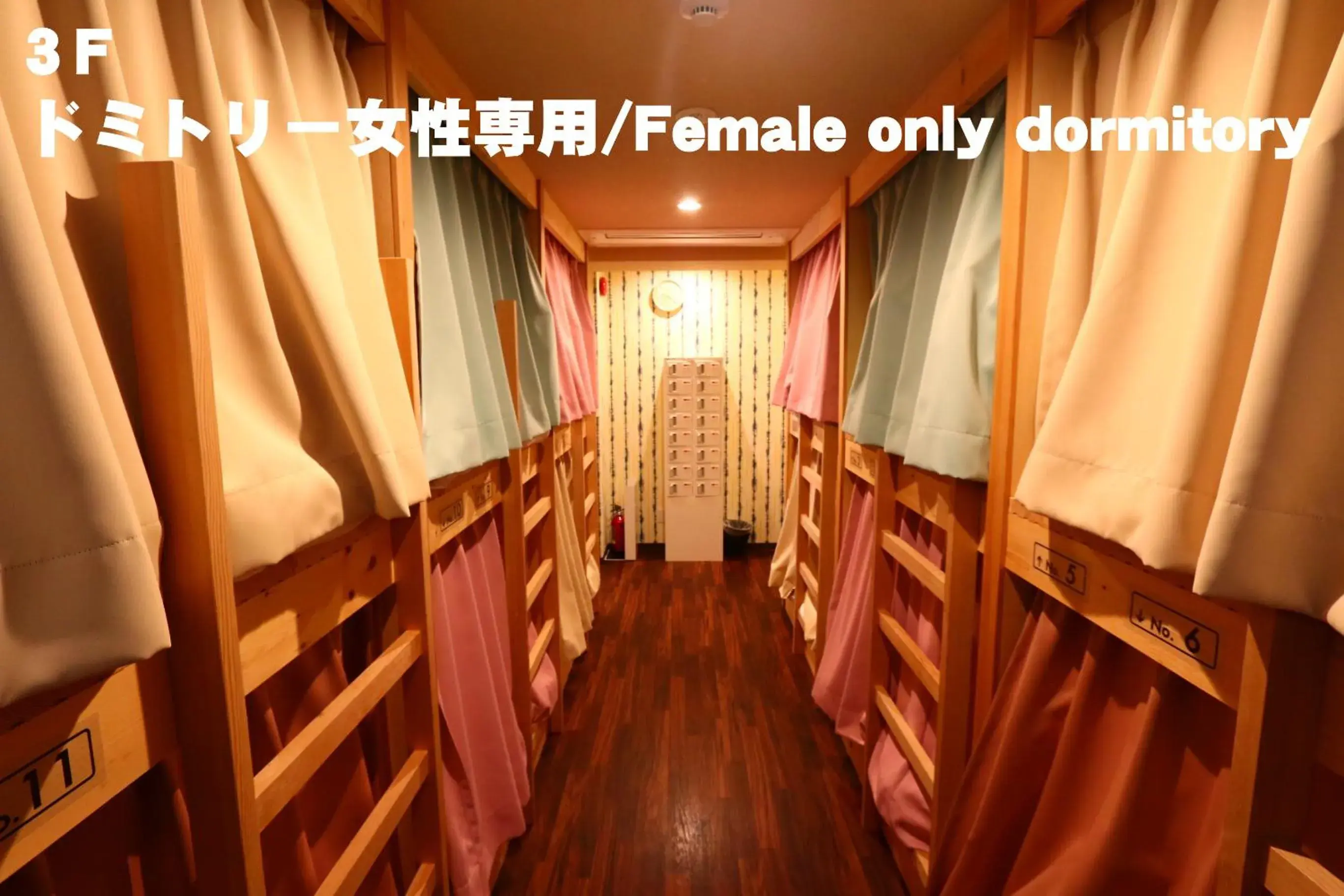 Bed in 12-Bed Female Dormitory Room in RED HELMET House & Sports Bar Hiroshima Bed in 12-Bed Female Dormitory Room in RED HELMET House & Sports Bar Hiroshima