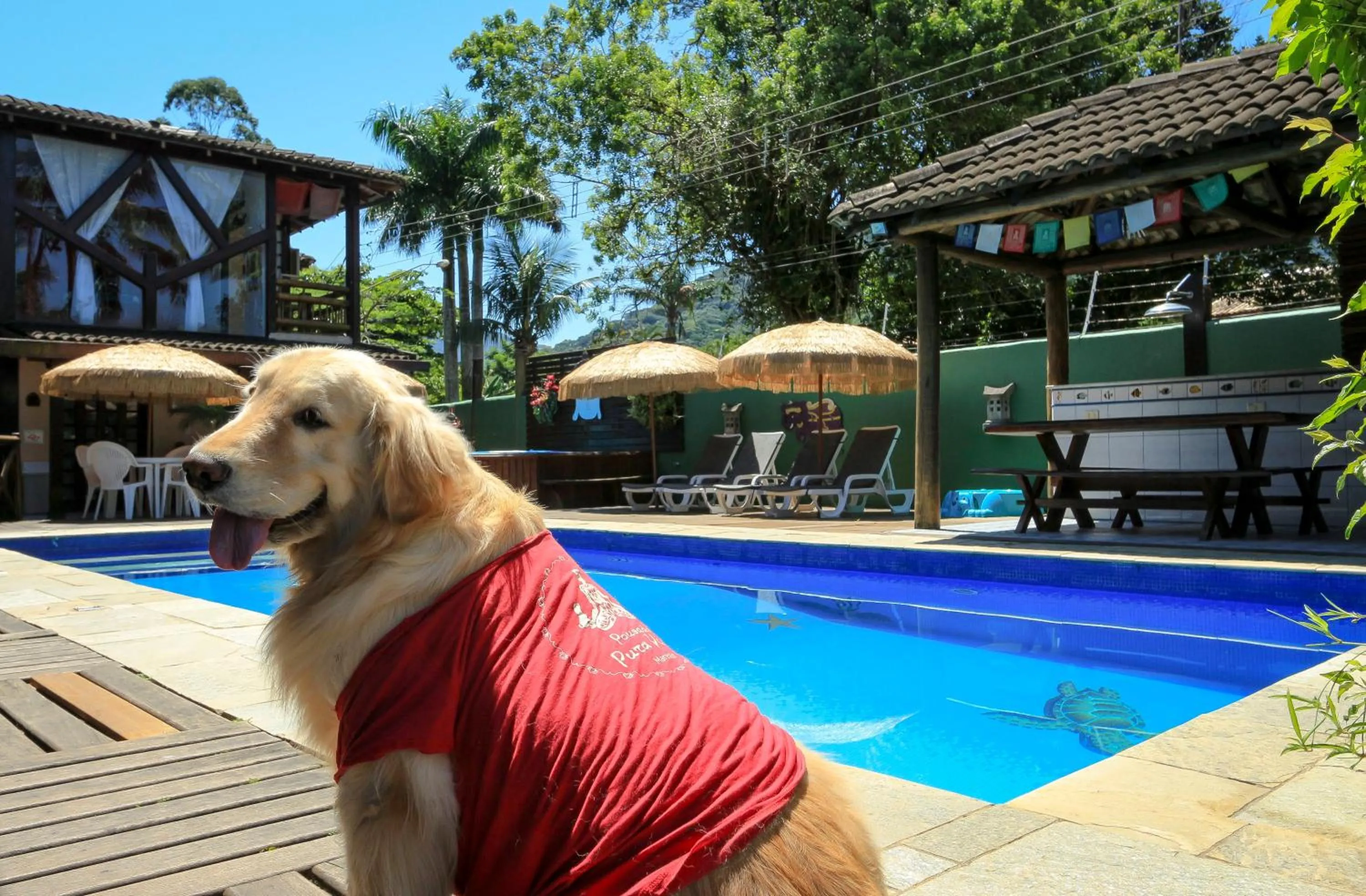 Pets in Pousada Pura Vida Maresias