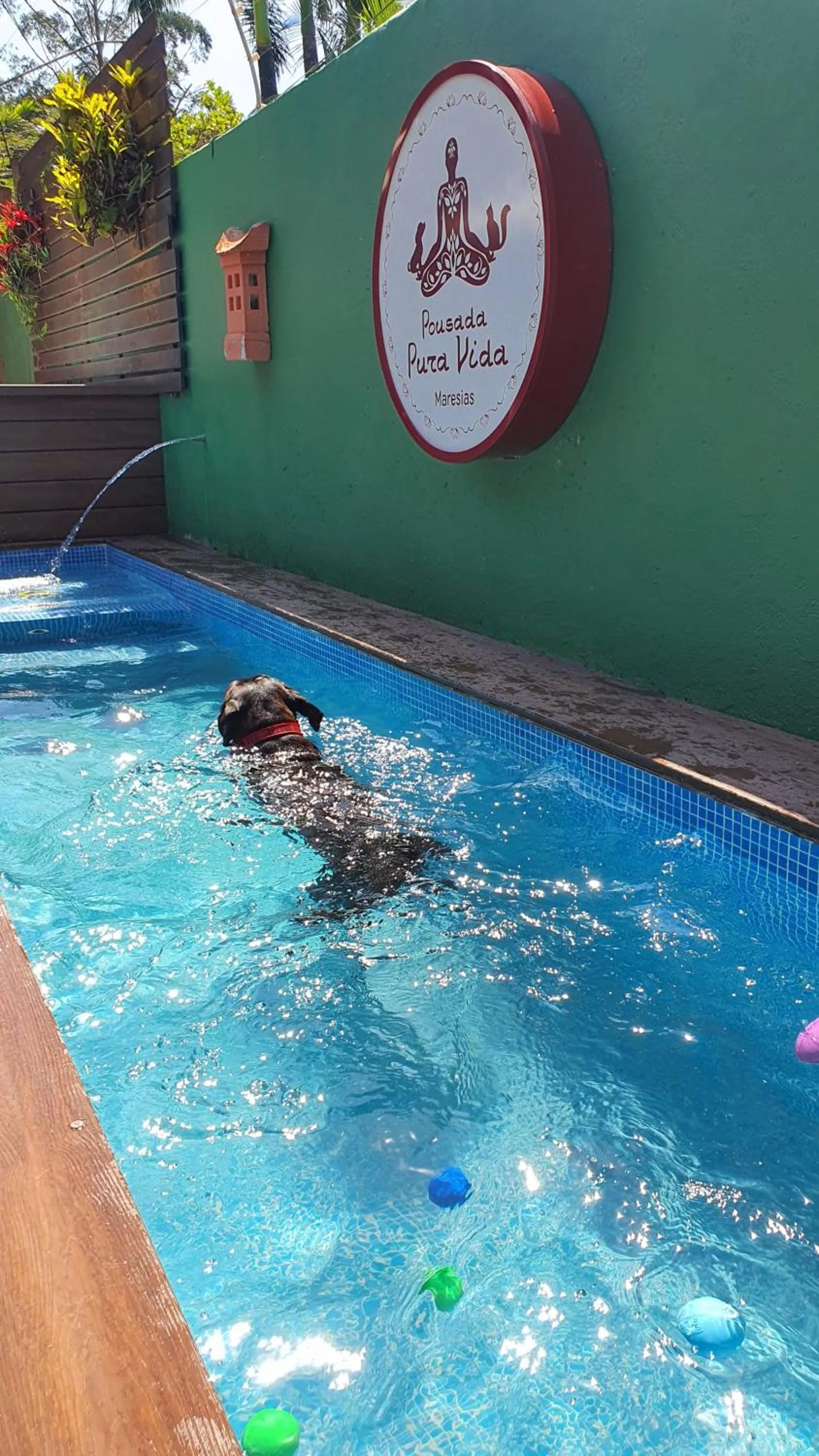 Pets in Pousada Pura Vida Maresias