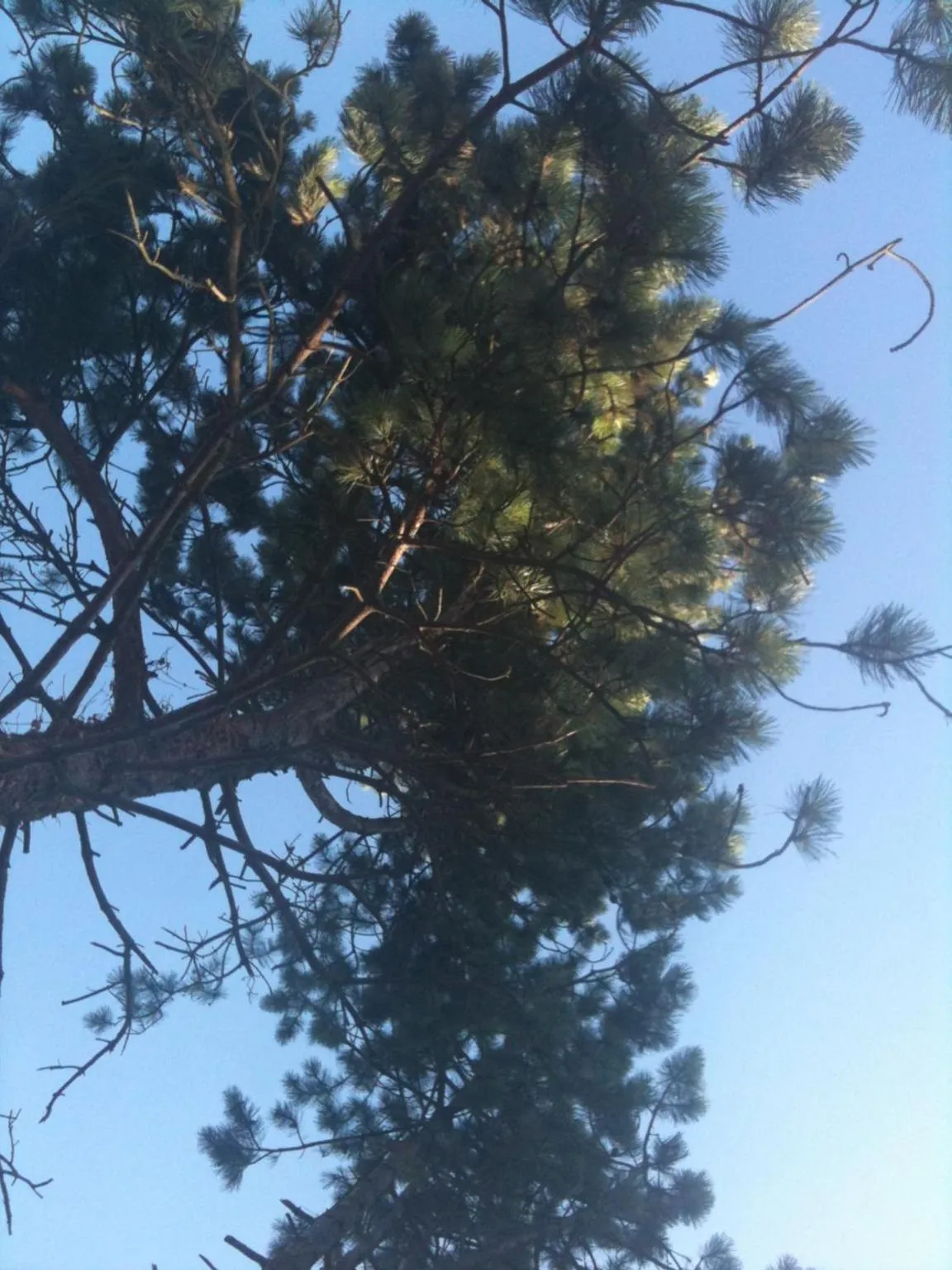 Garden in Greenfield Chambres d'Hôtes