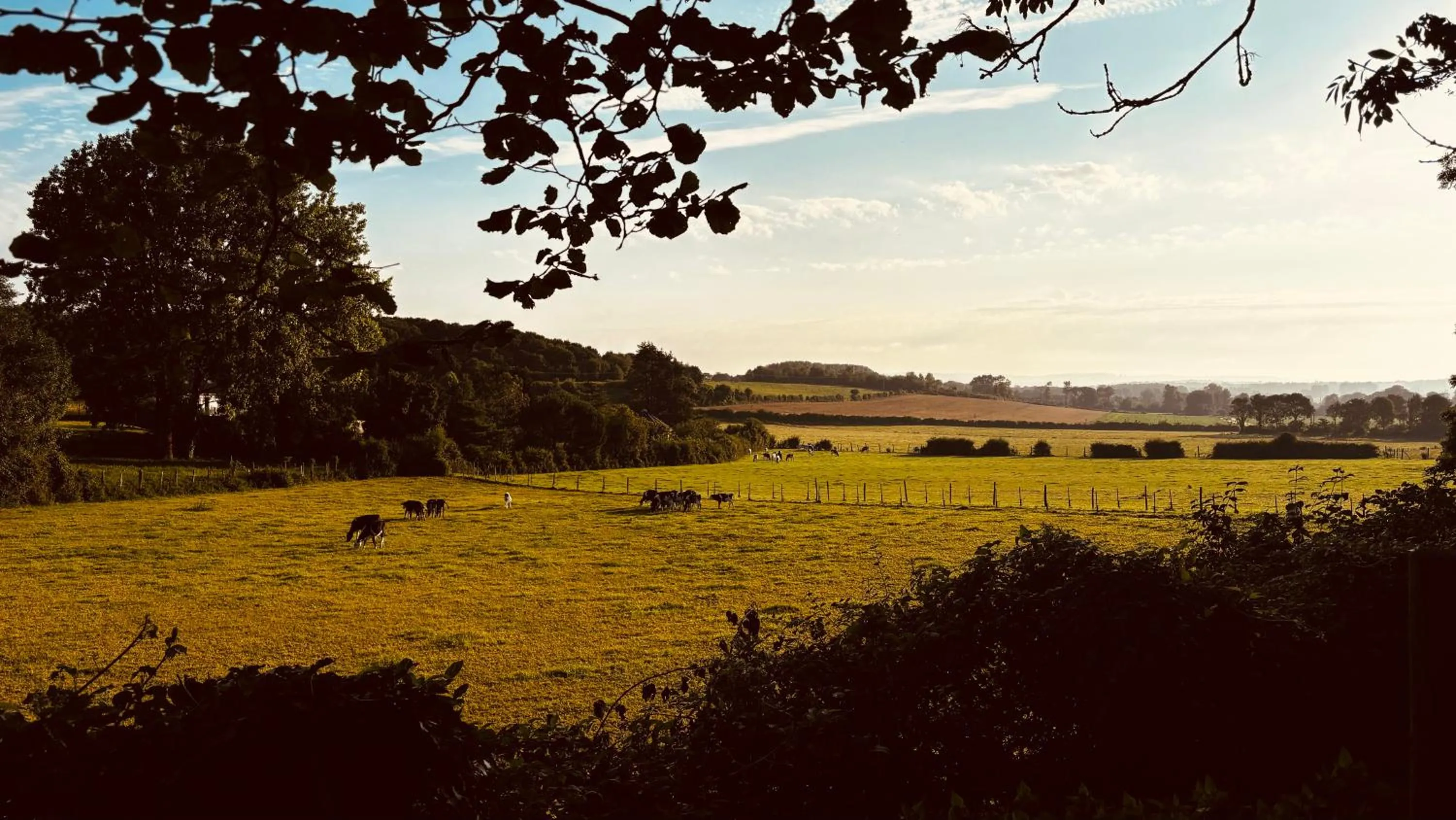 Garden view in Greenfield Chambres d'Hôtes