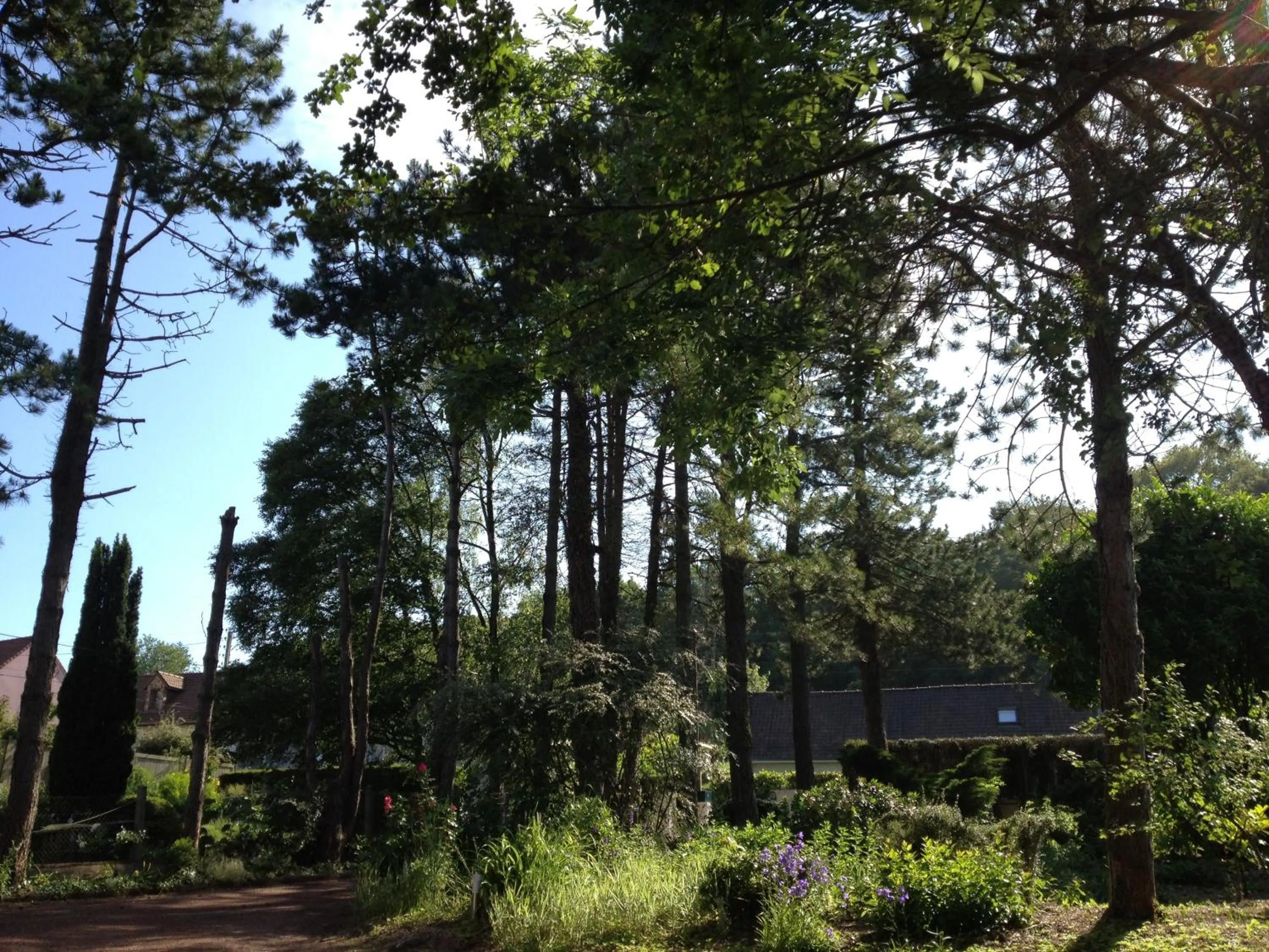 View (from property/room) in Greenfield Chambres d'Hôtes