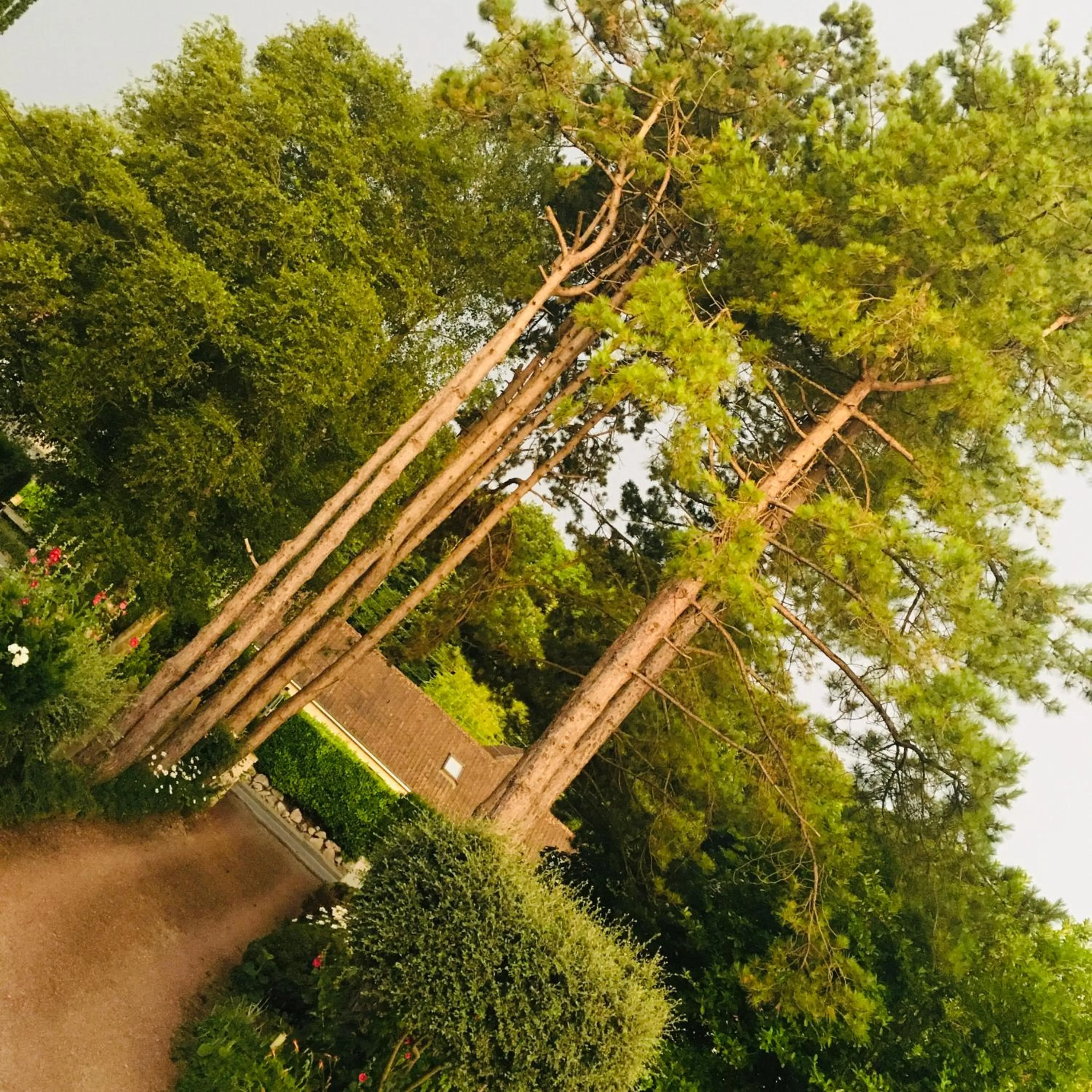 Facade/entrance in Greenfield Chambres d'Hôtes