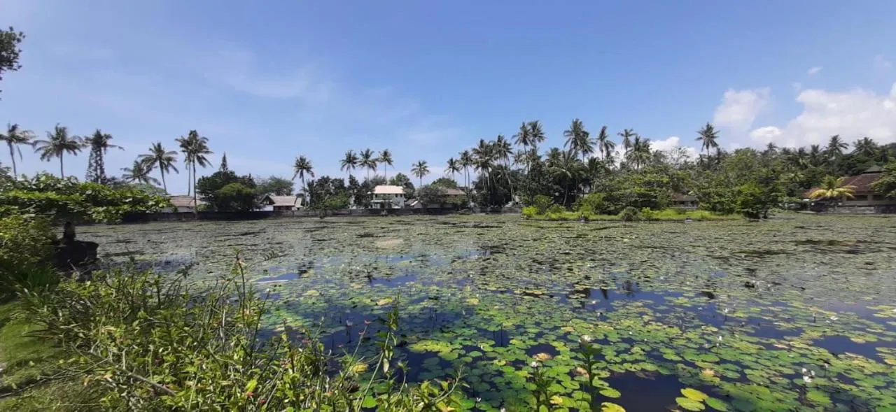 Natural landscape in The Forty Eight Resort Candidasa