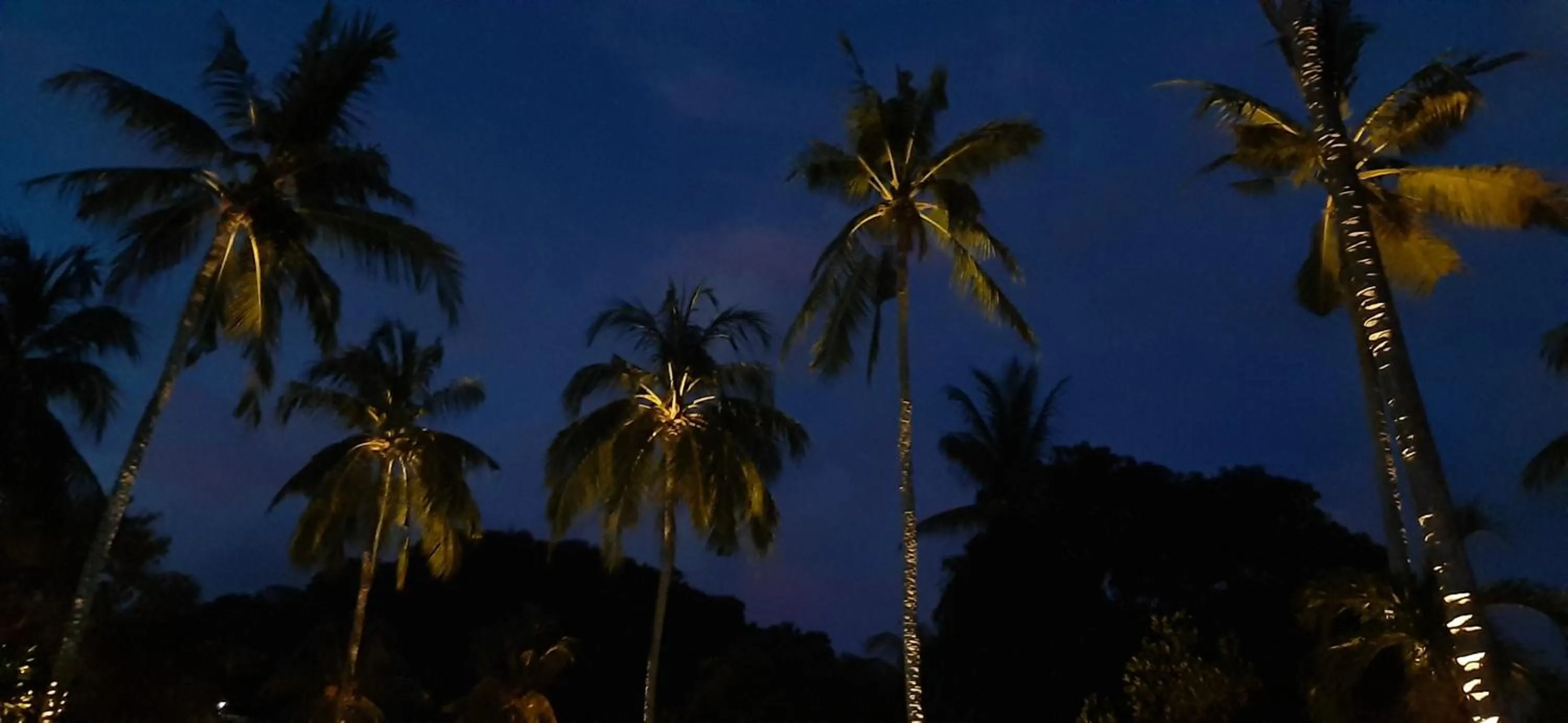 Night in The Forty Eight Resort Candidasa