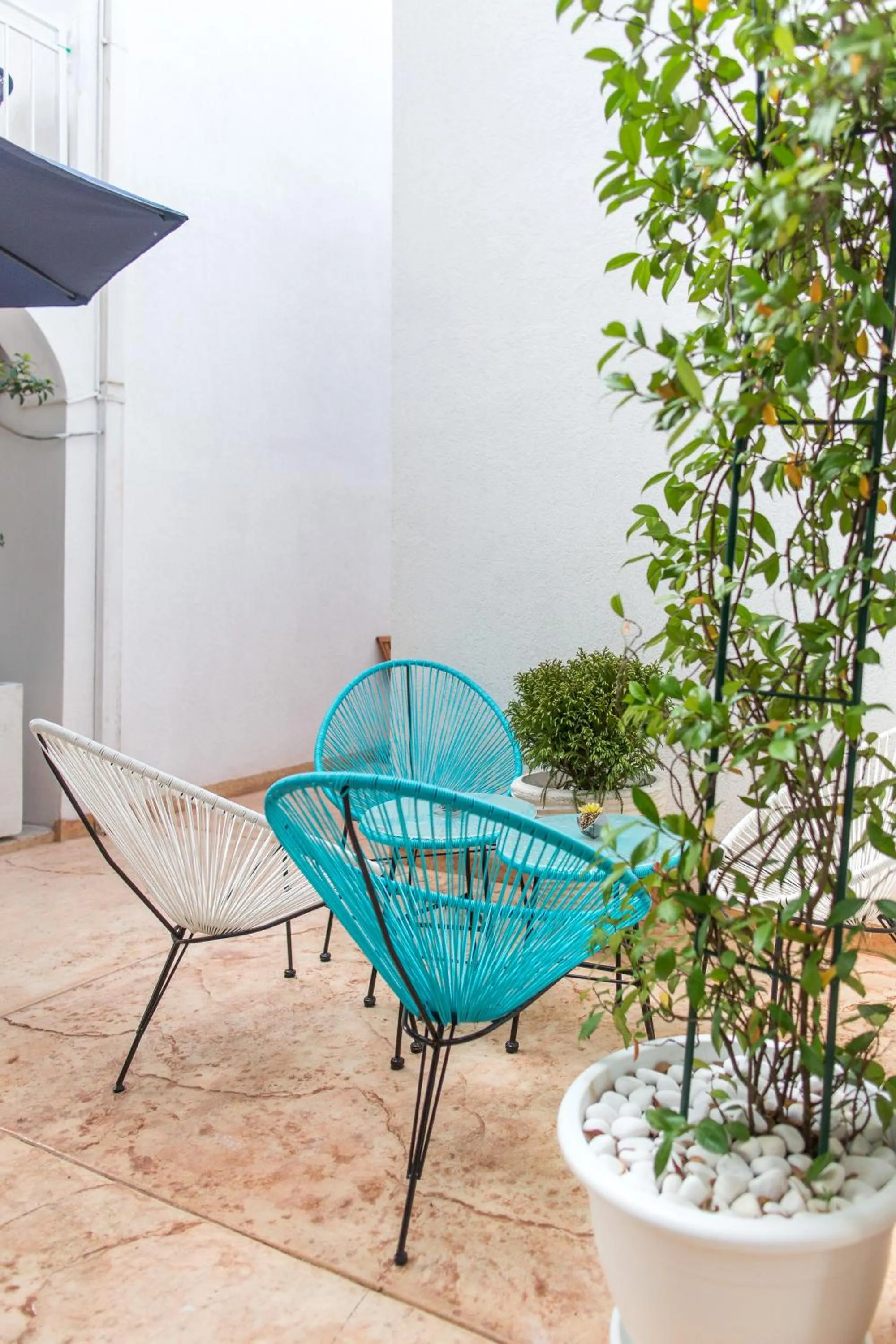 Patio in Villa DiEden