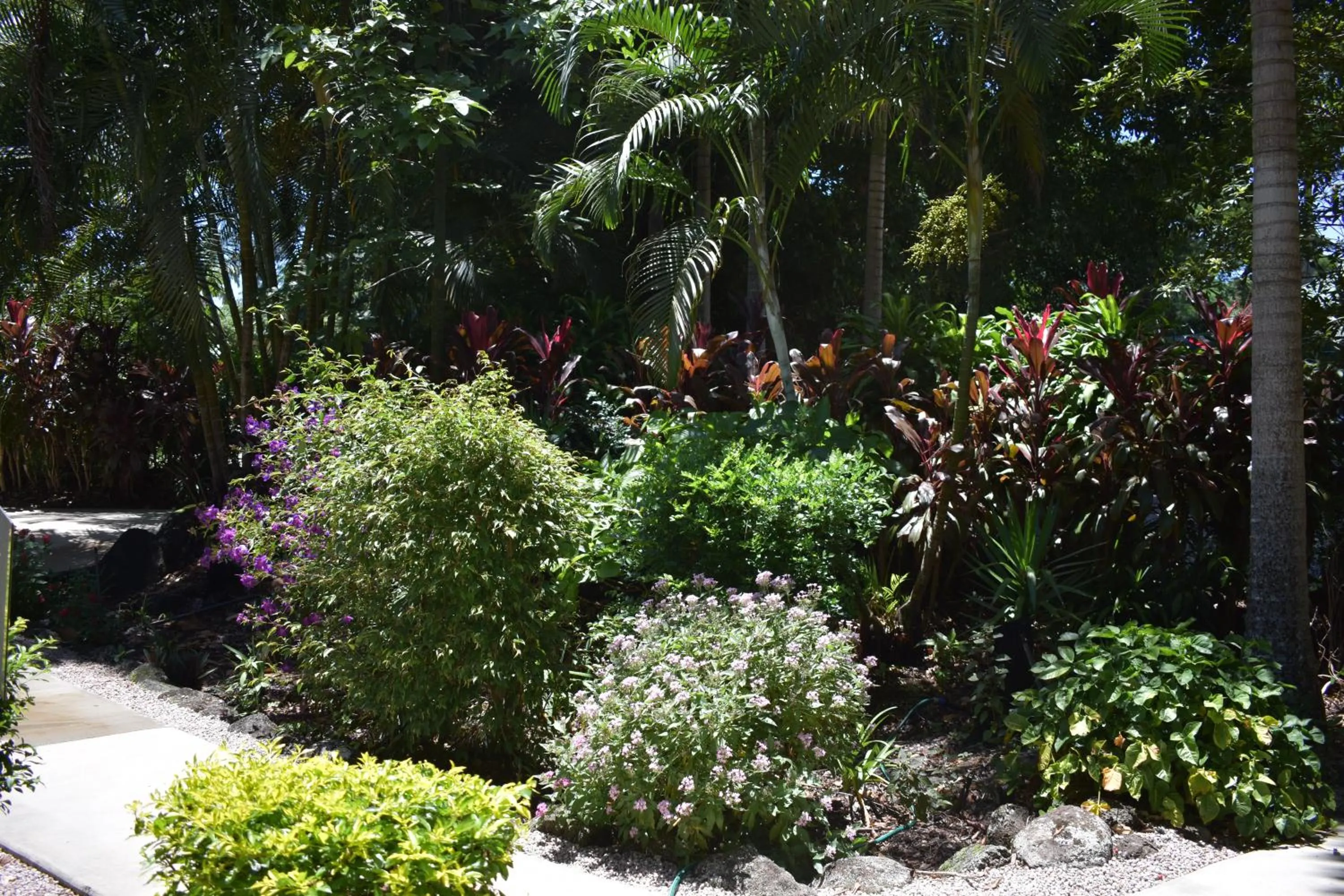 Natural landscape in Eden House Retreat