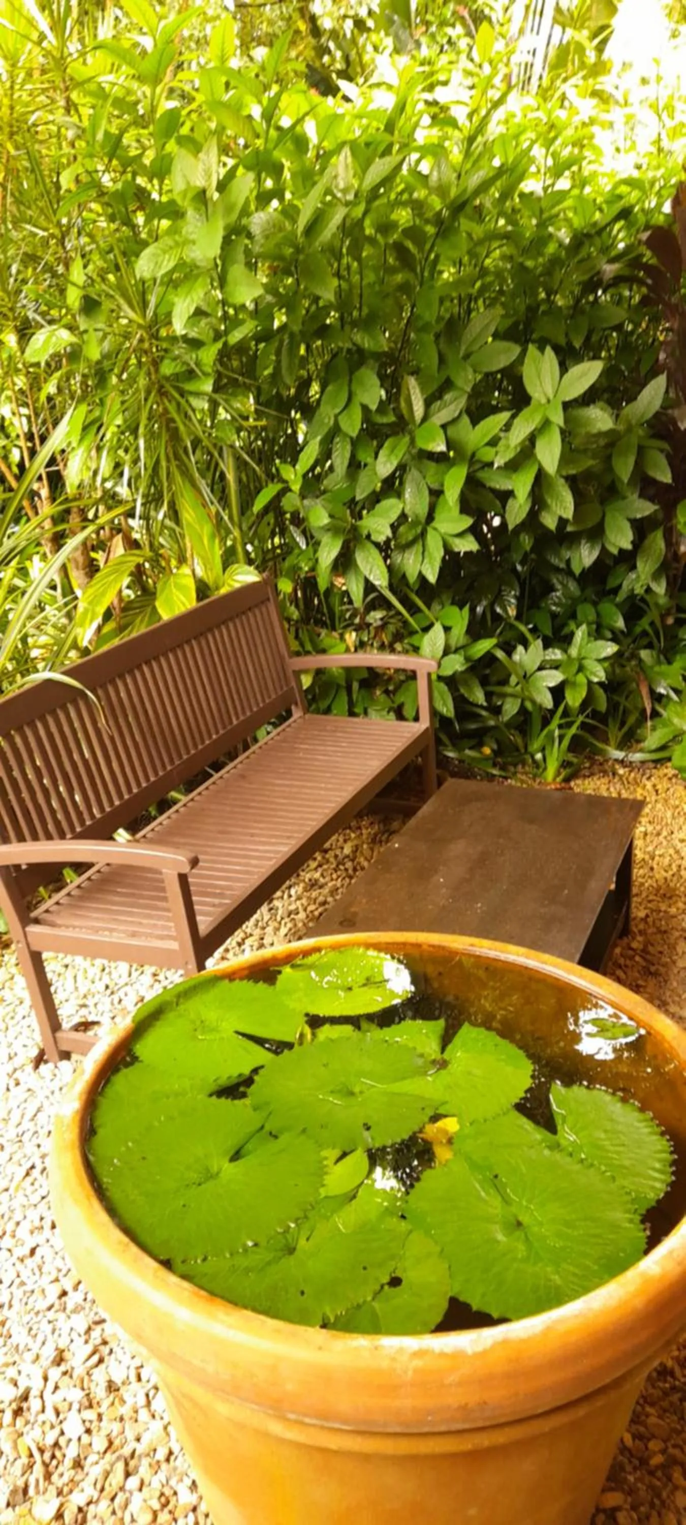 Natural landscape in Eden House Retreat