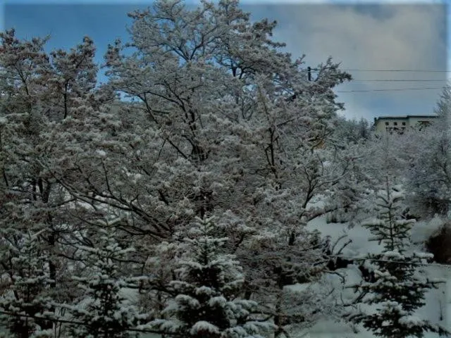 Hotel Acropolis Metsovo