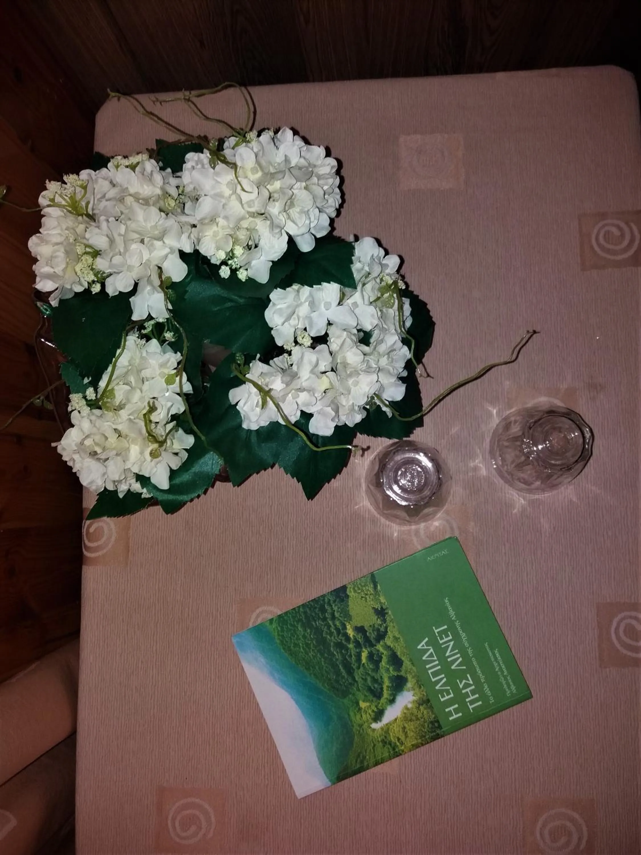 Hotel Acropolis Metsovo