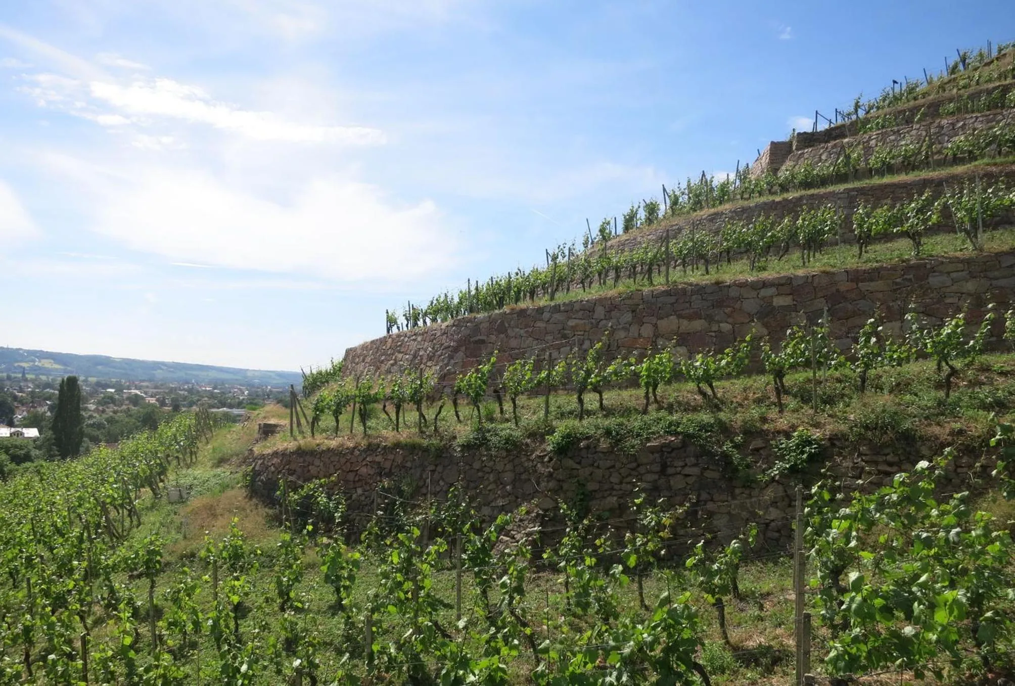 Natural landscape in Hotel garni Sonnenhof