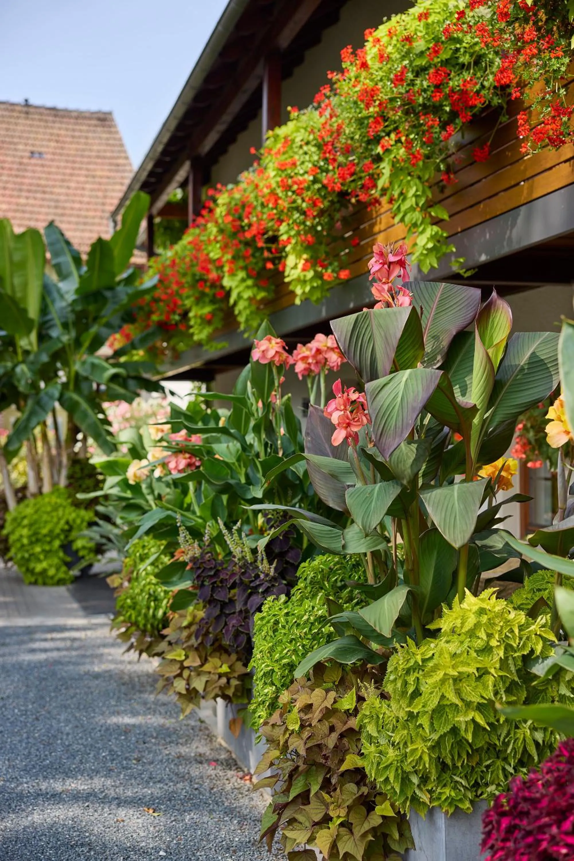 Property building in Hotel garni Sonnenhof