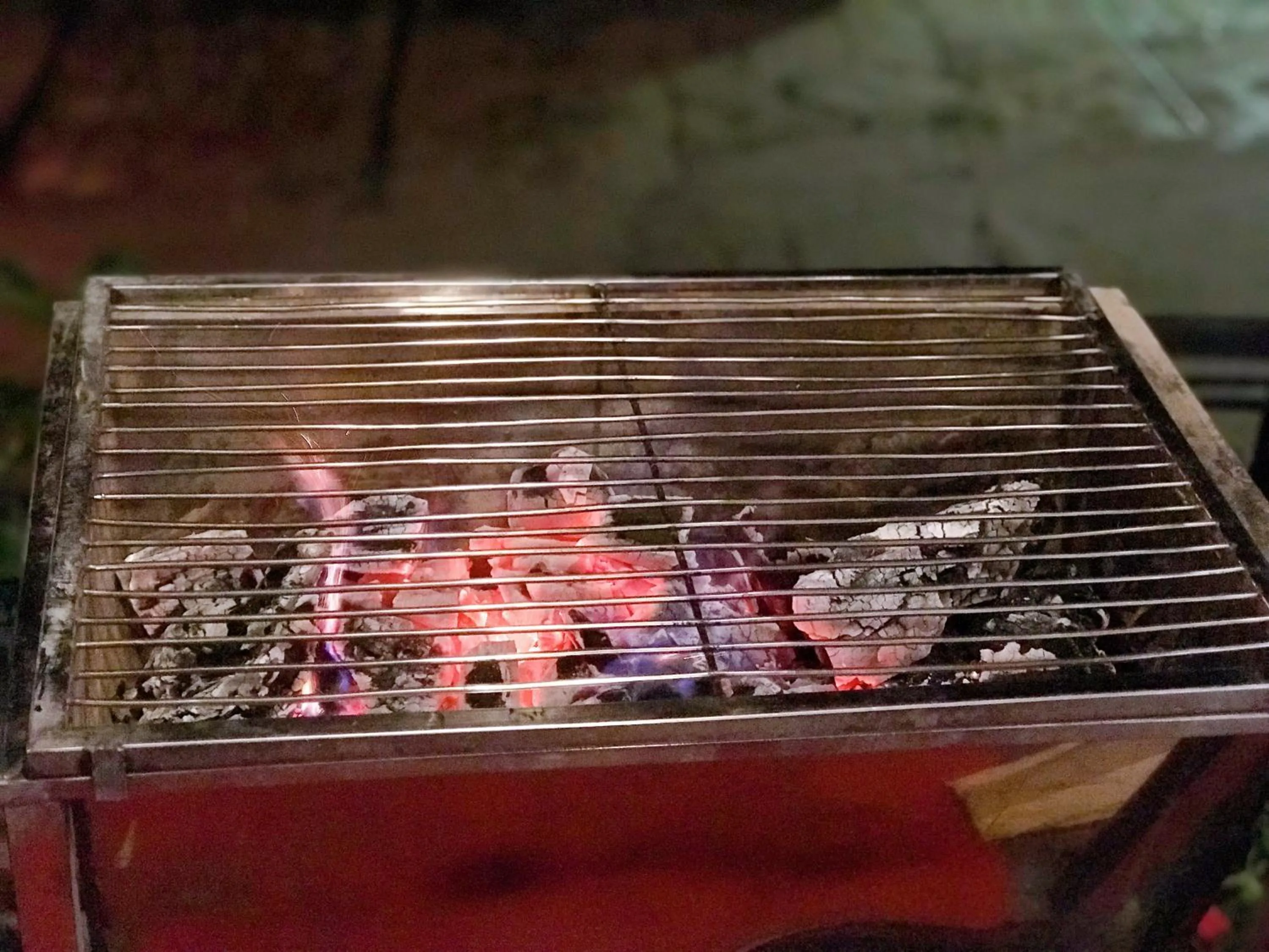 BBQ facilities in Saparis Hotel