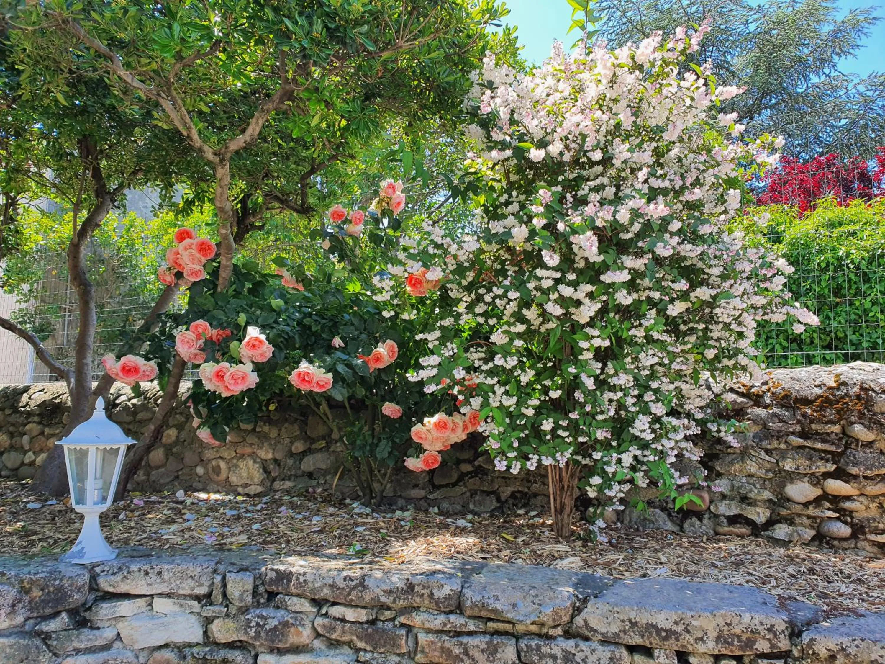 Logis Hôtel Restaurant L'Escarbille