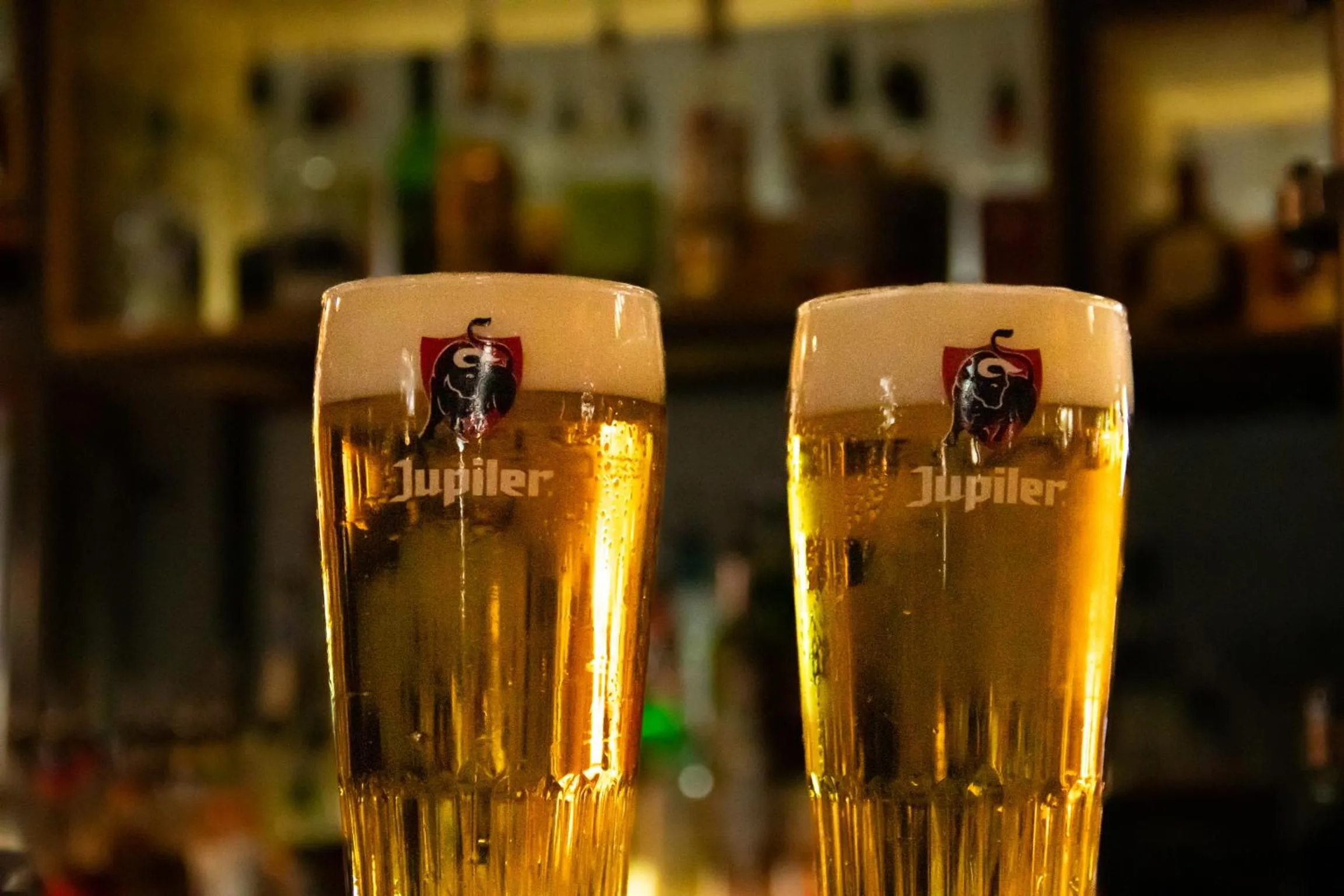 Lounge or bar in Hotel le Sherpa