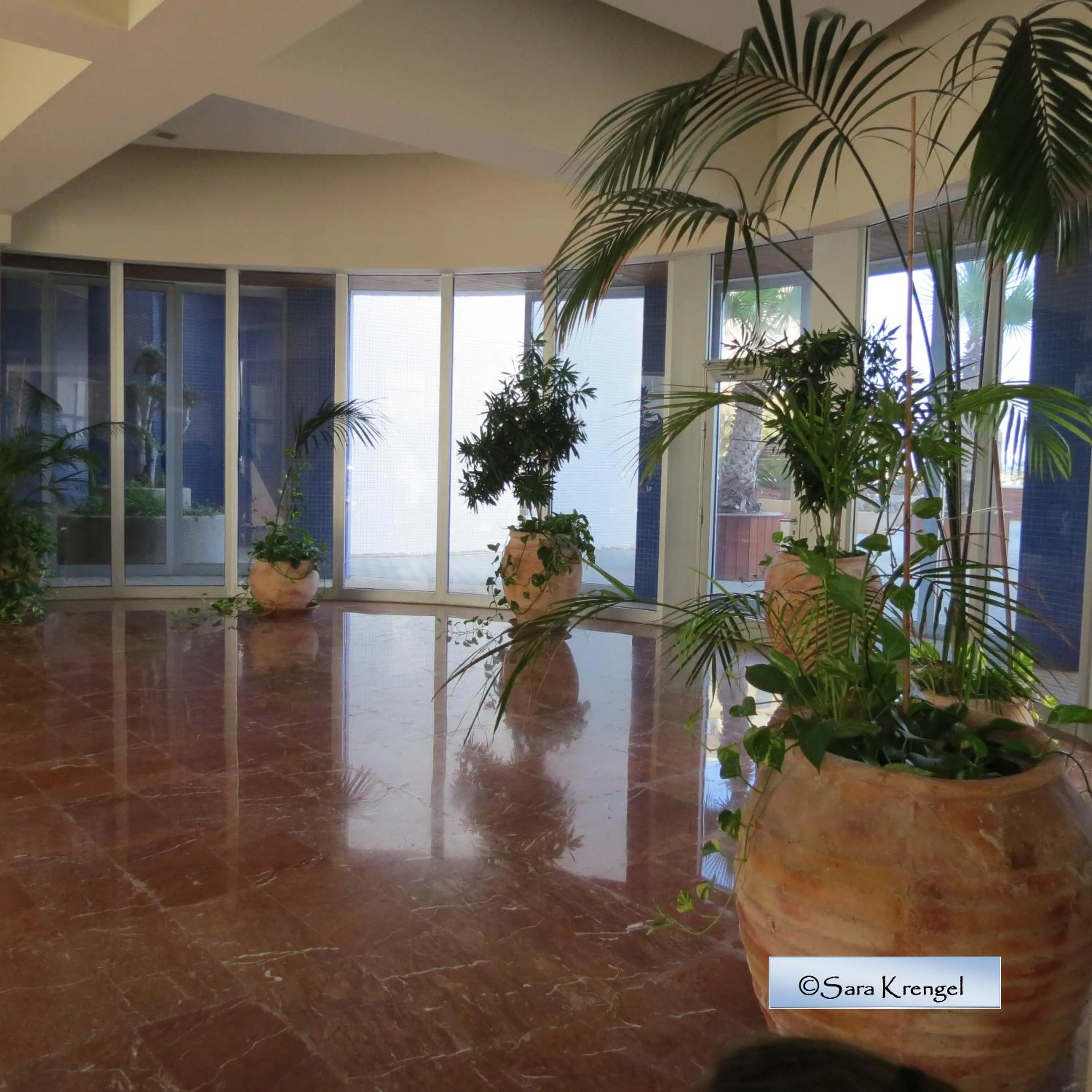 Nitza Seaview Apartments