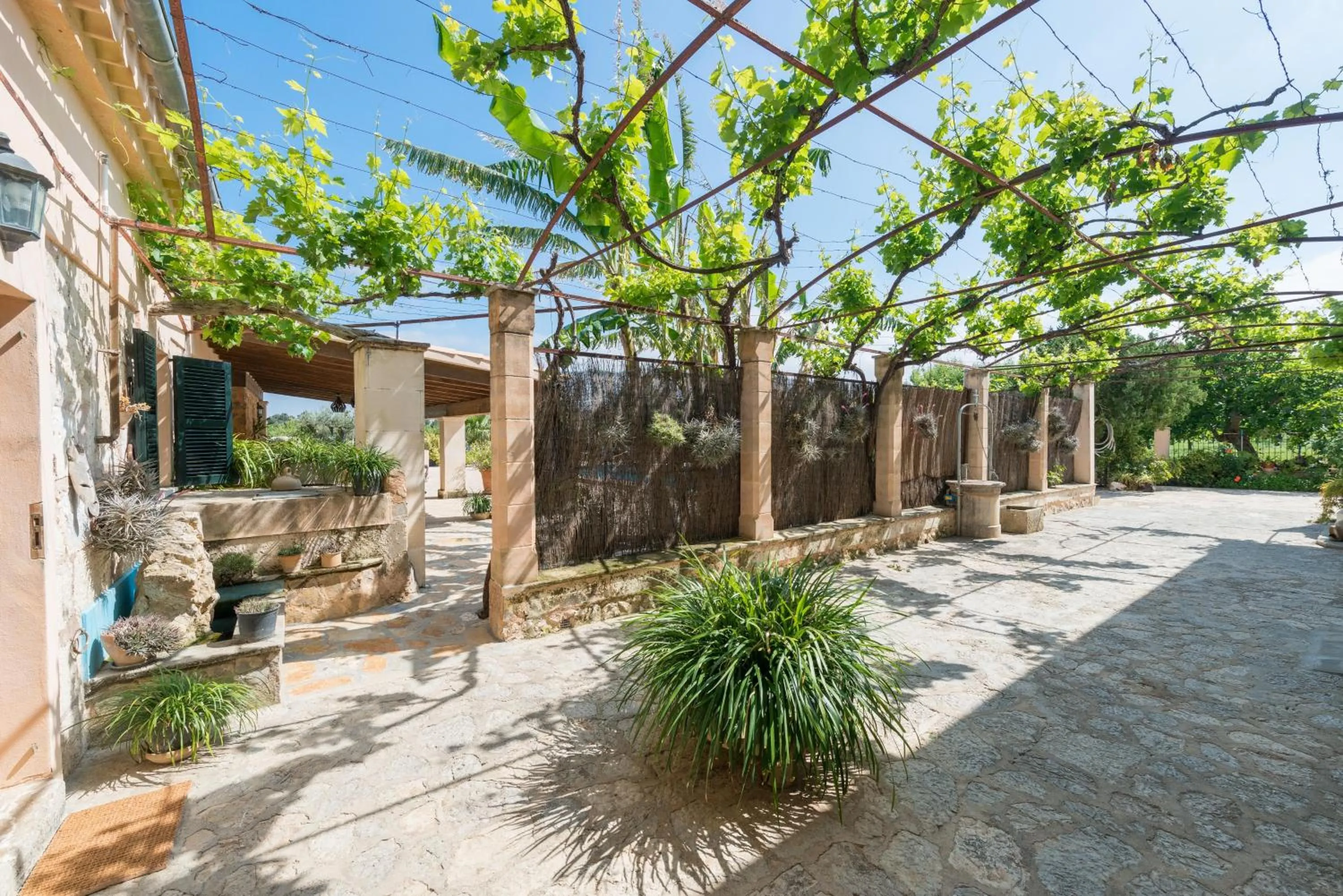 Area and facilities in Finca - Agroturisme Sa Parellada