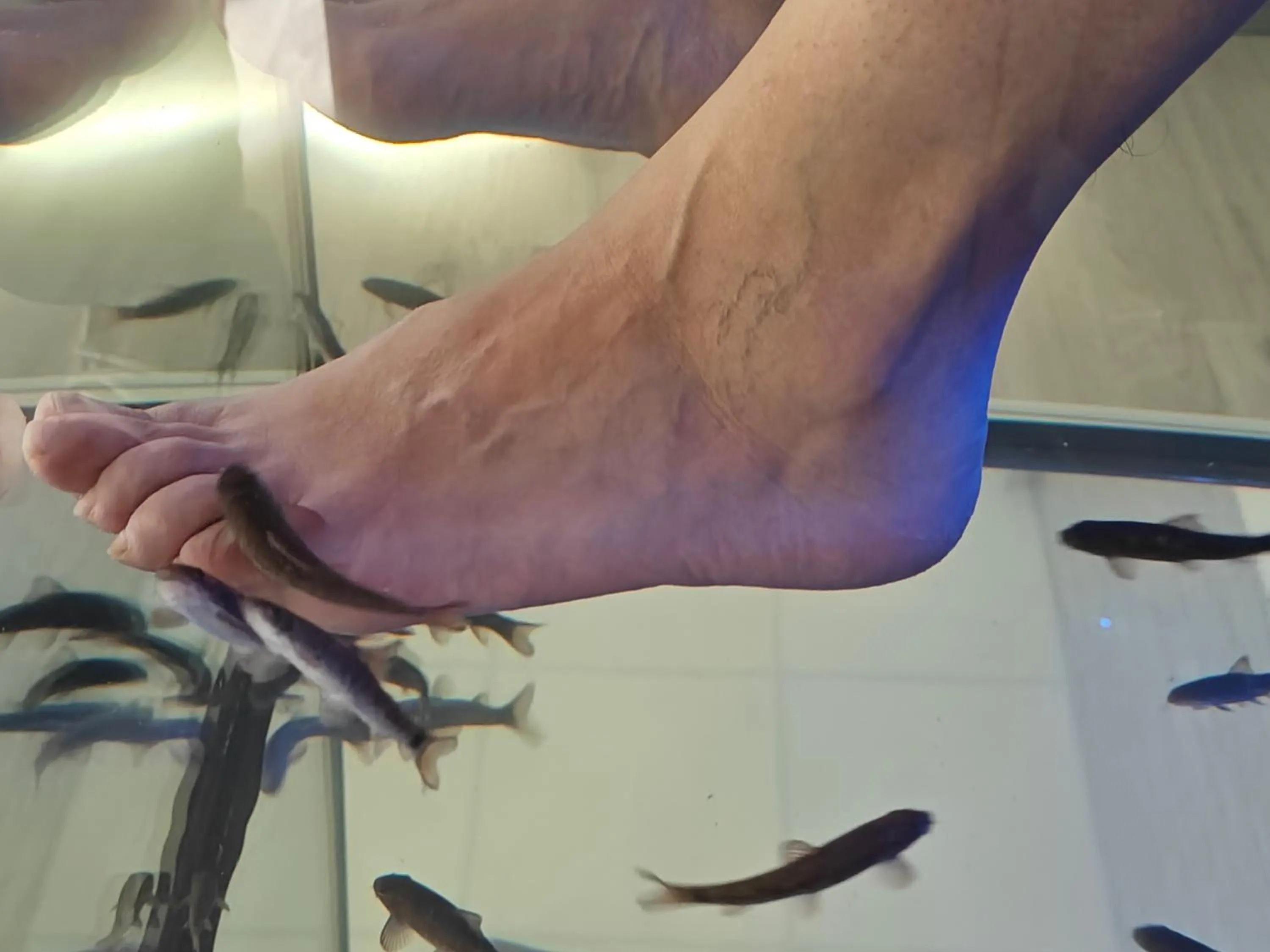 Spa and wellness centre/facilities in Atao Residence- Rennes Sud