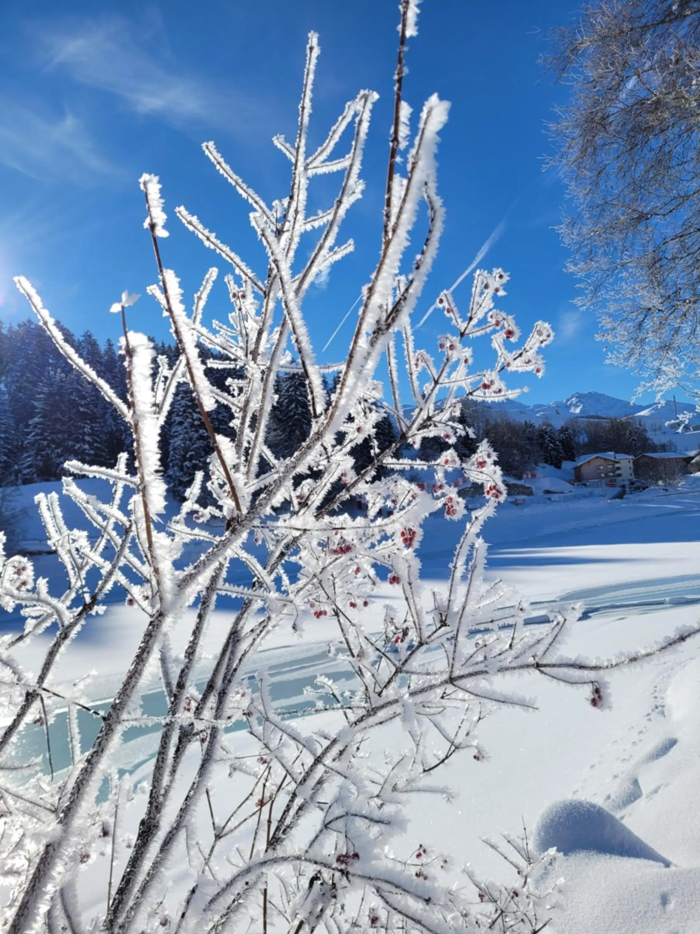 Winter in Hotel Mischun