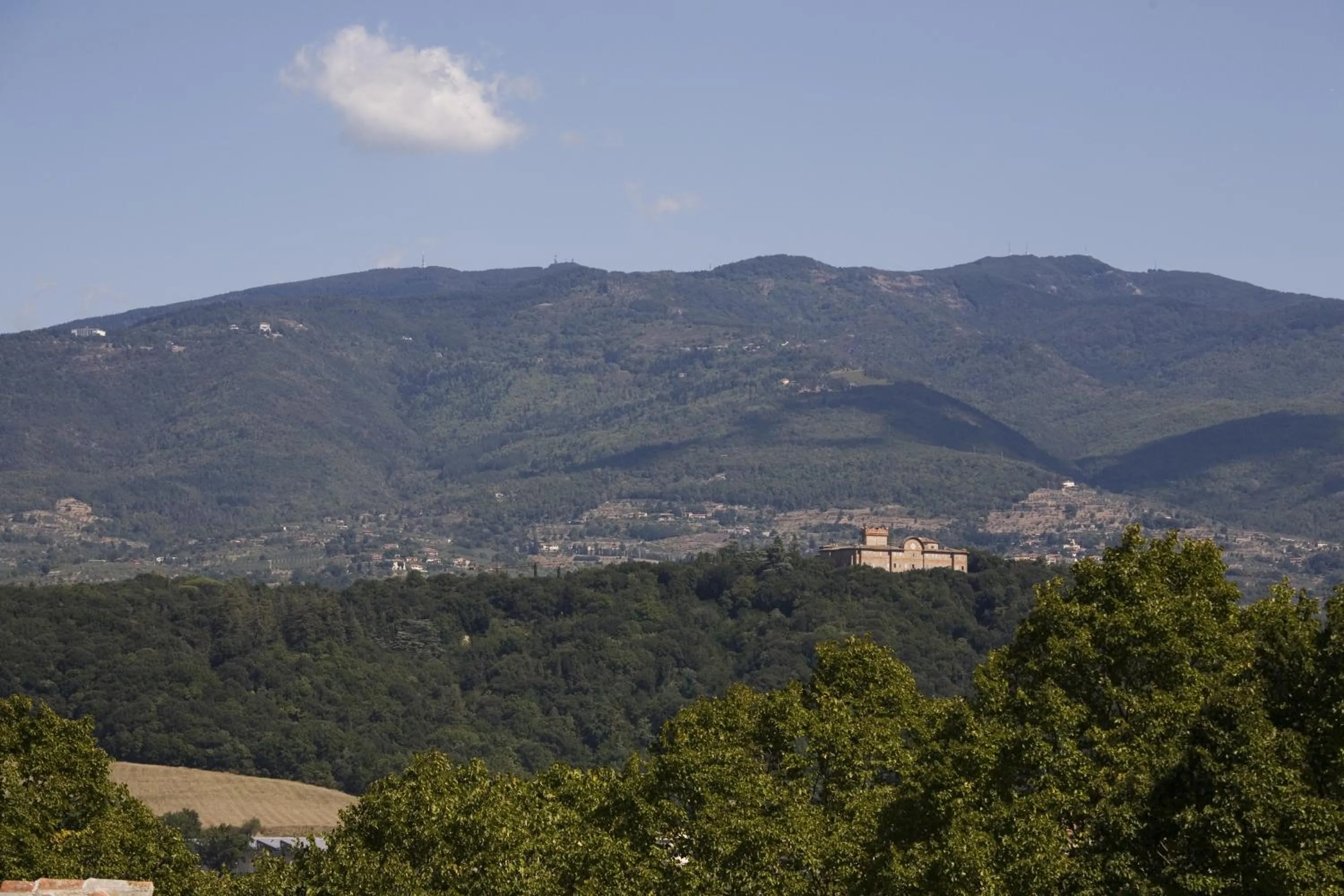 Summer in Relais Villa Il Palagio