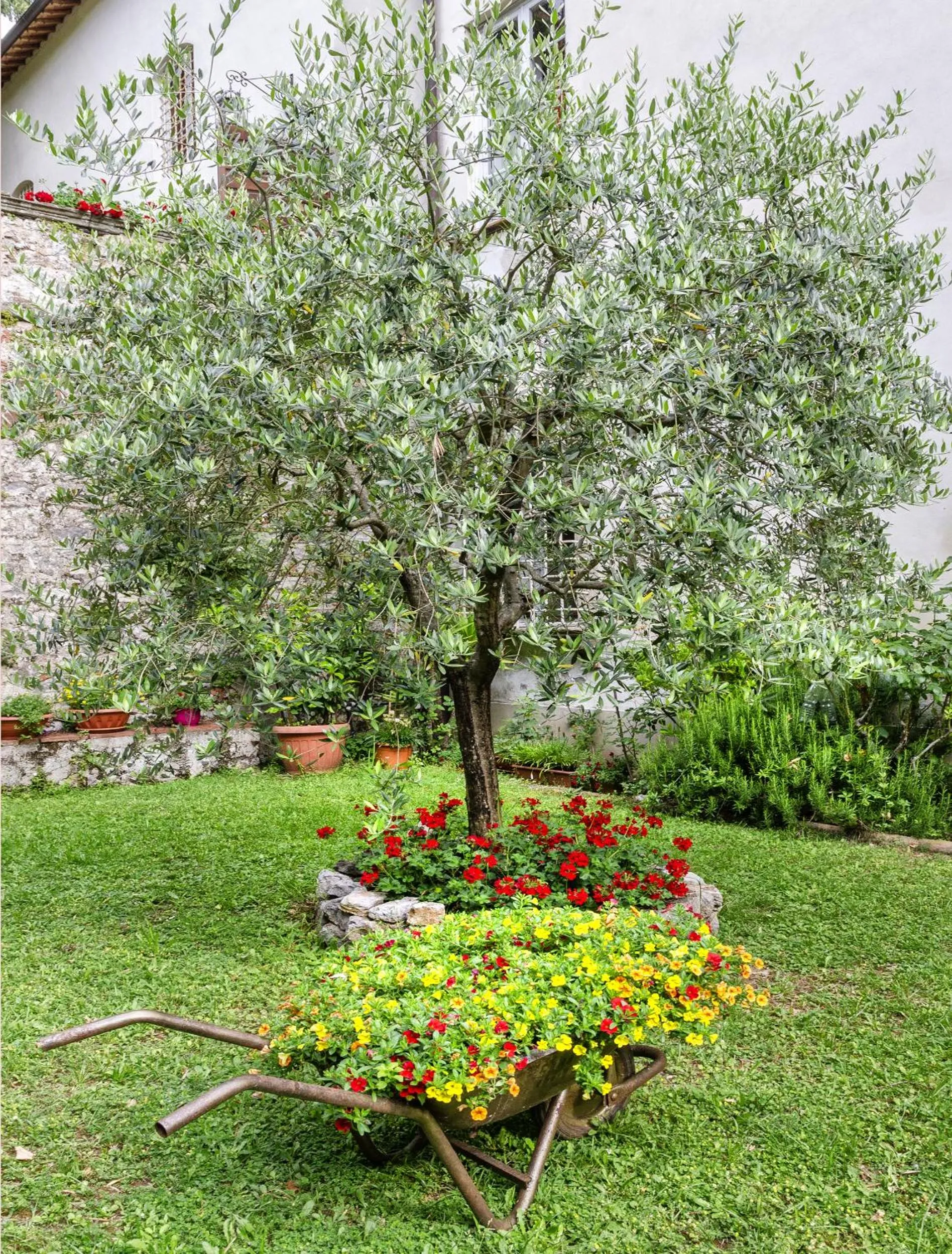 Garden view in Casa Diocesana di Lucca