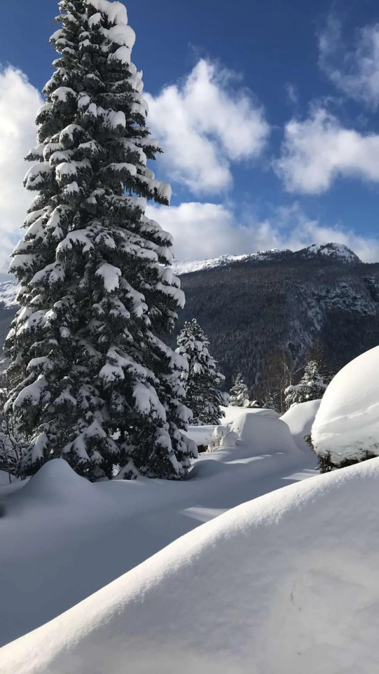 Activities in Hôtel et Spa Le Vermont