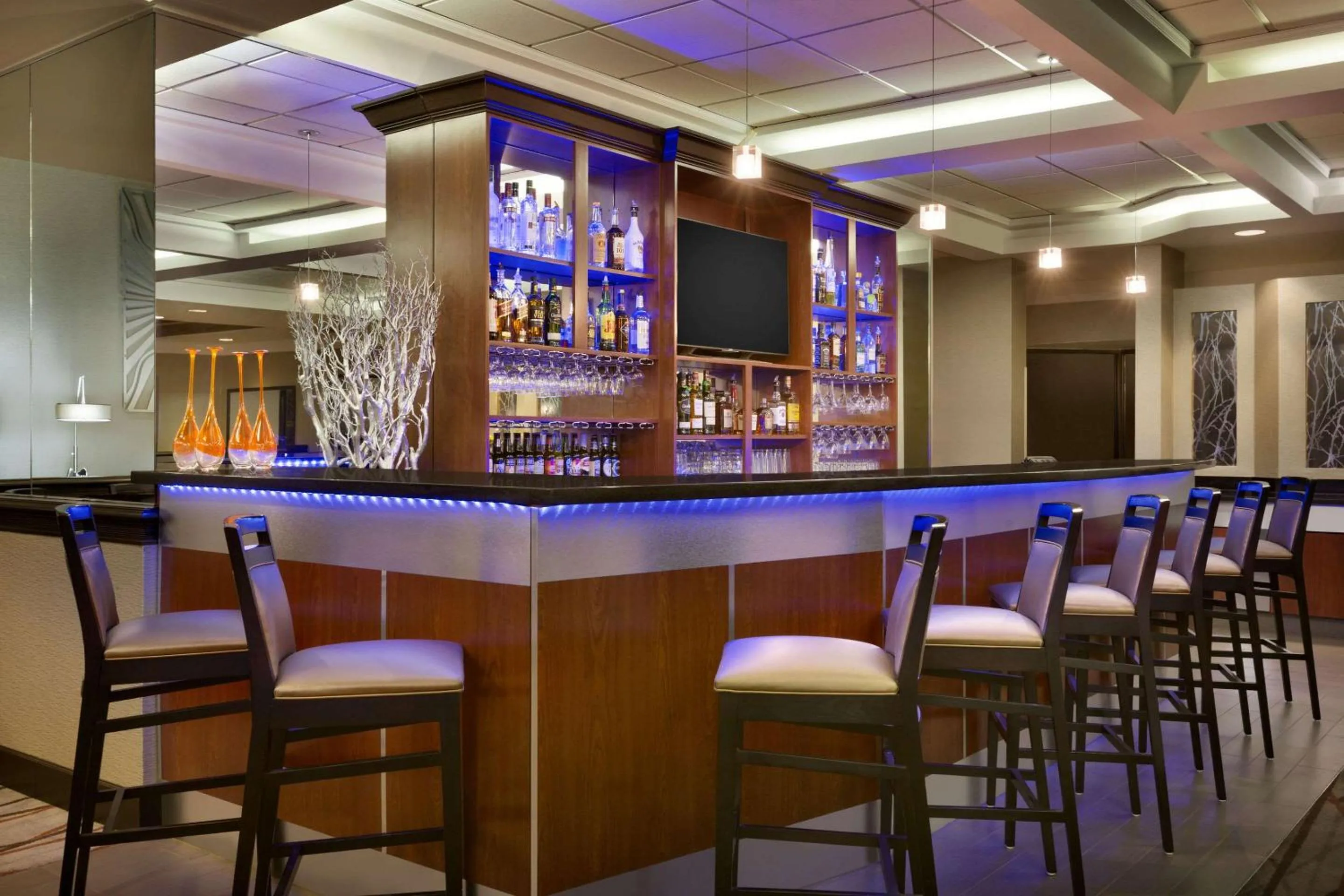 Lounge or bar in Radisson Akron-Fairlawn Copley
