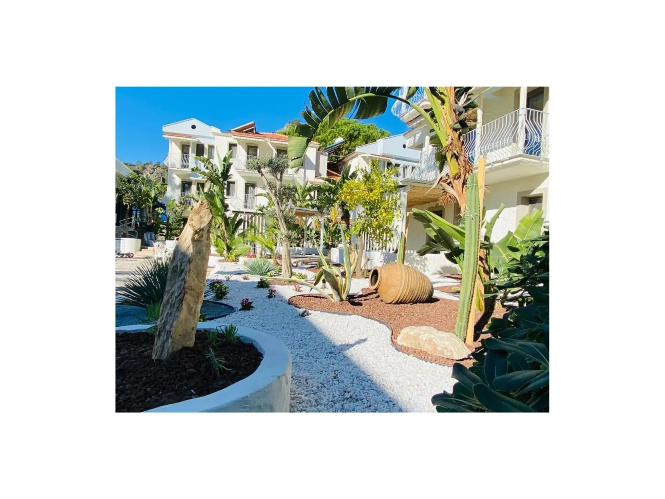 Garden in Salonika Suites