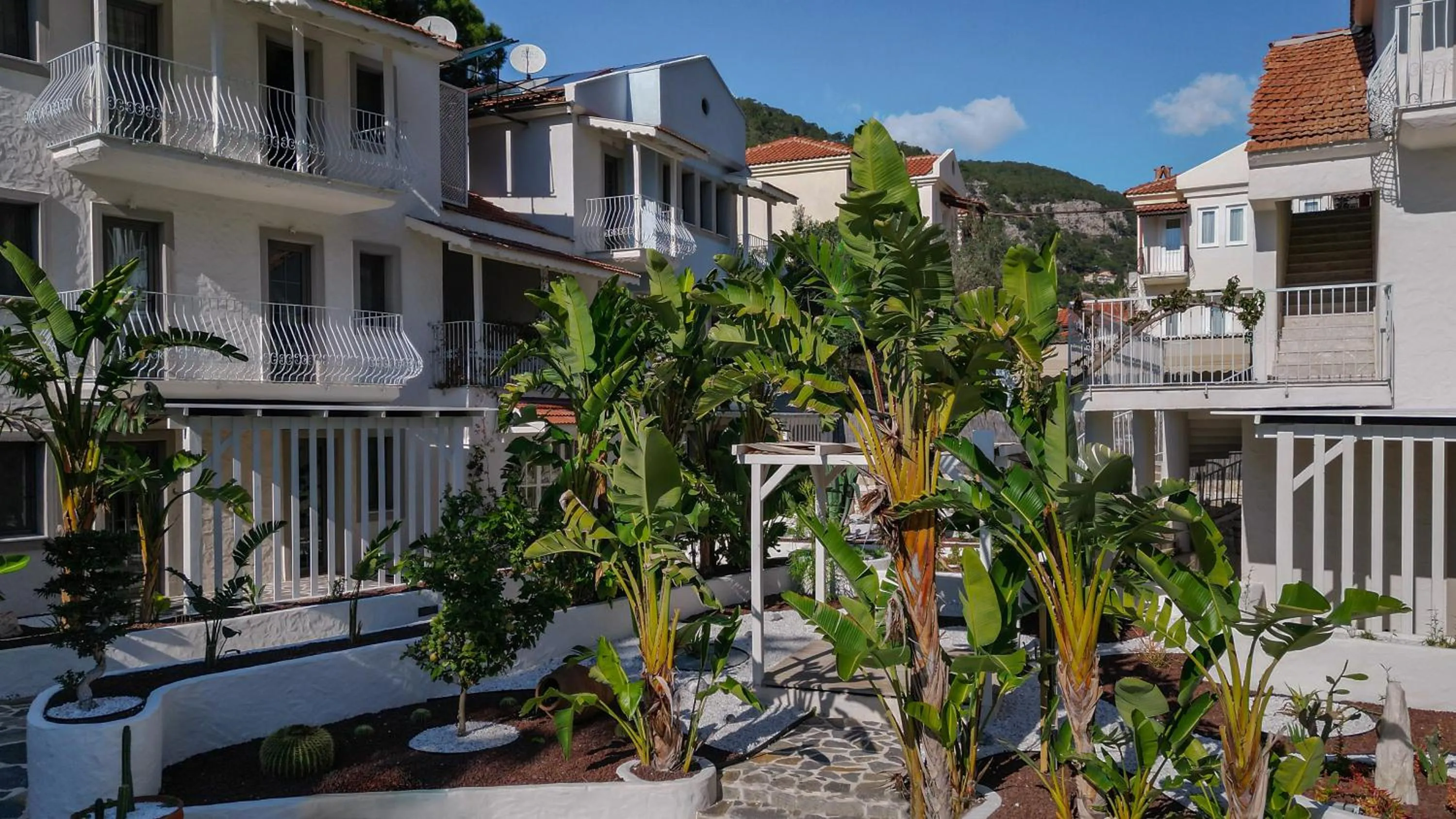 Garden in Salonika Suites