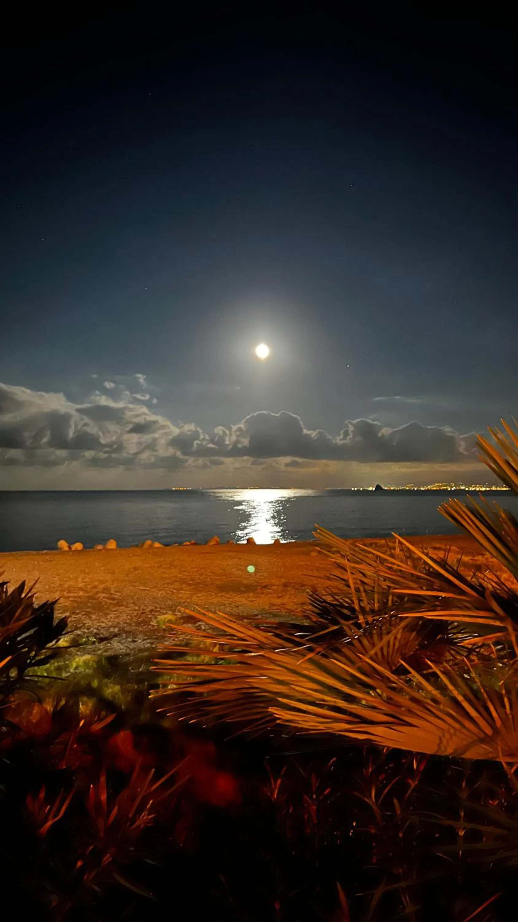 Natural landscape in Al Saliceto Hotel