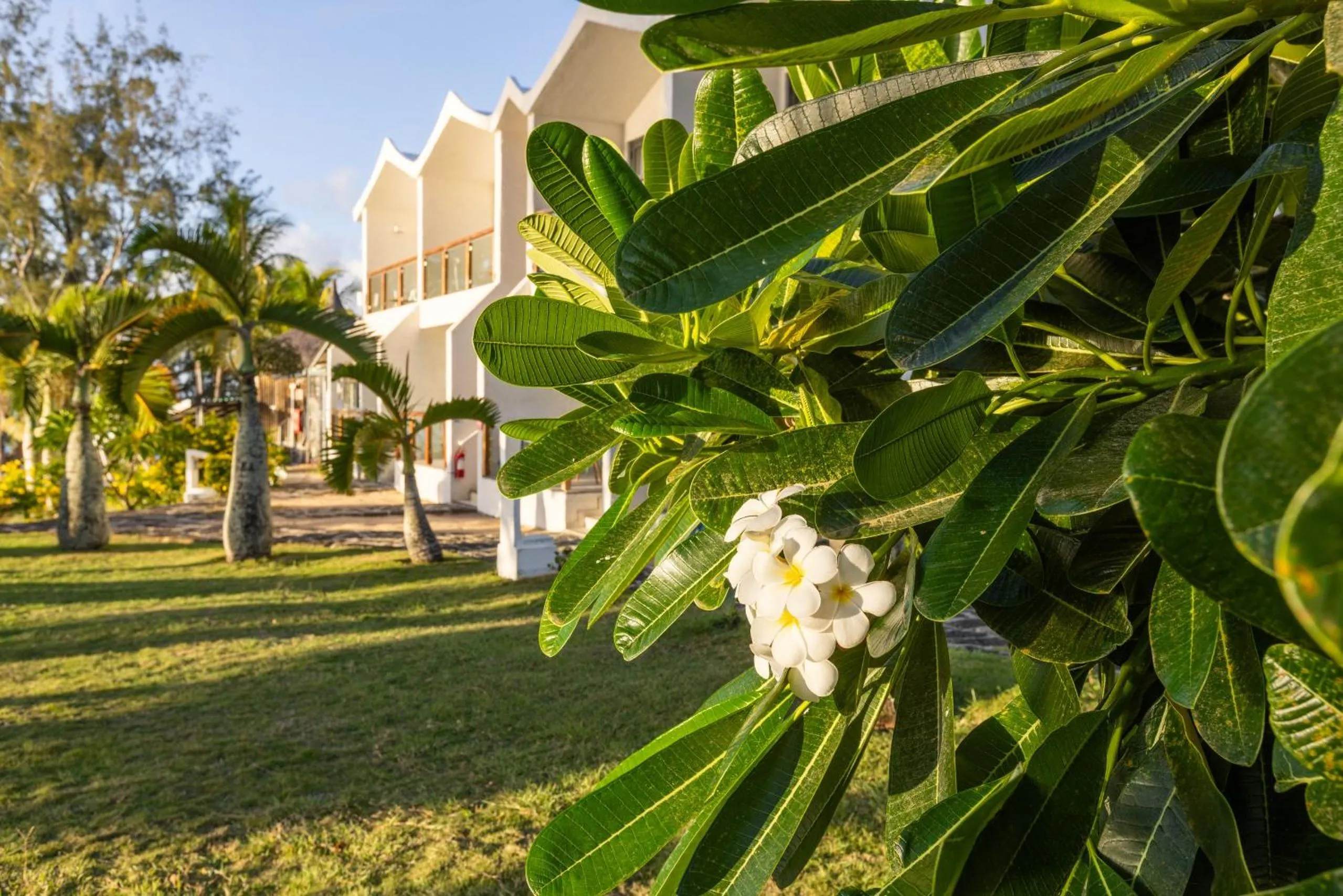 Property building in Coral Azur Beach Resort Mont Choisy