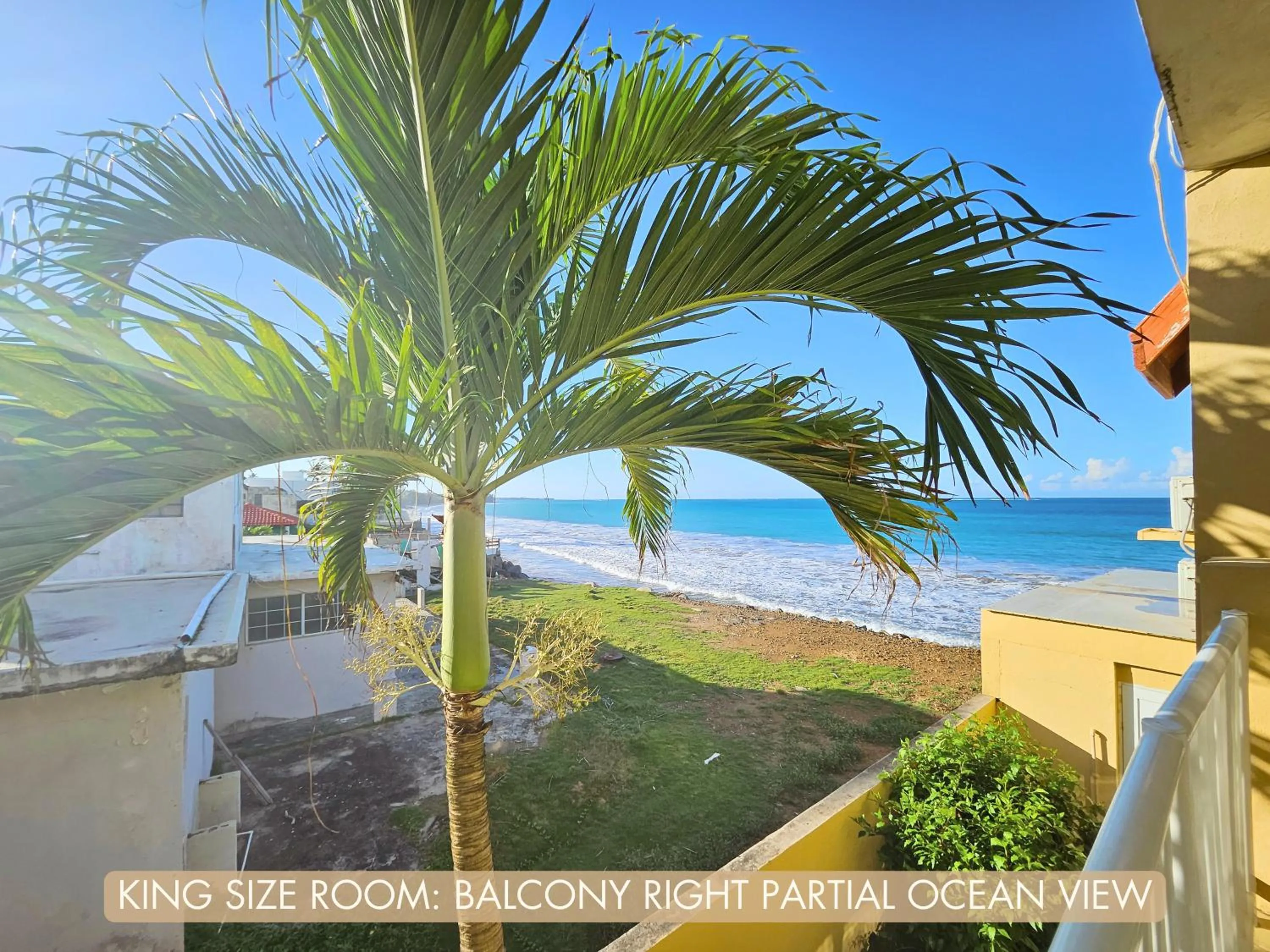 Day in Selva Boutique Hotel - Luquillo Oceanfront Retreat - Adults Only