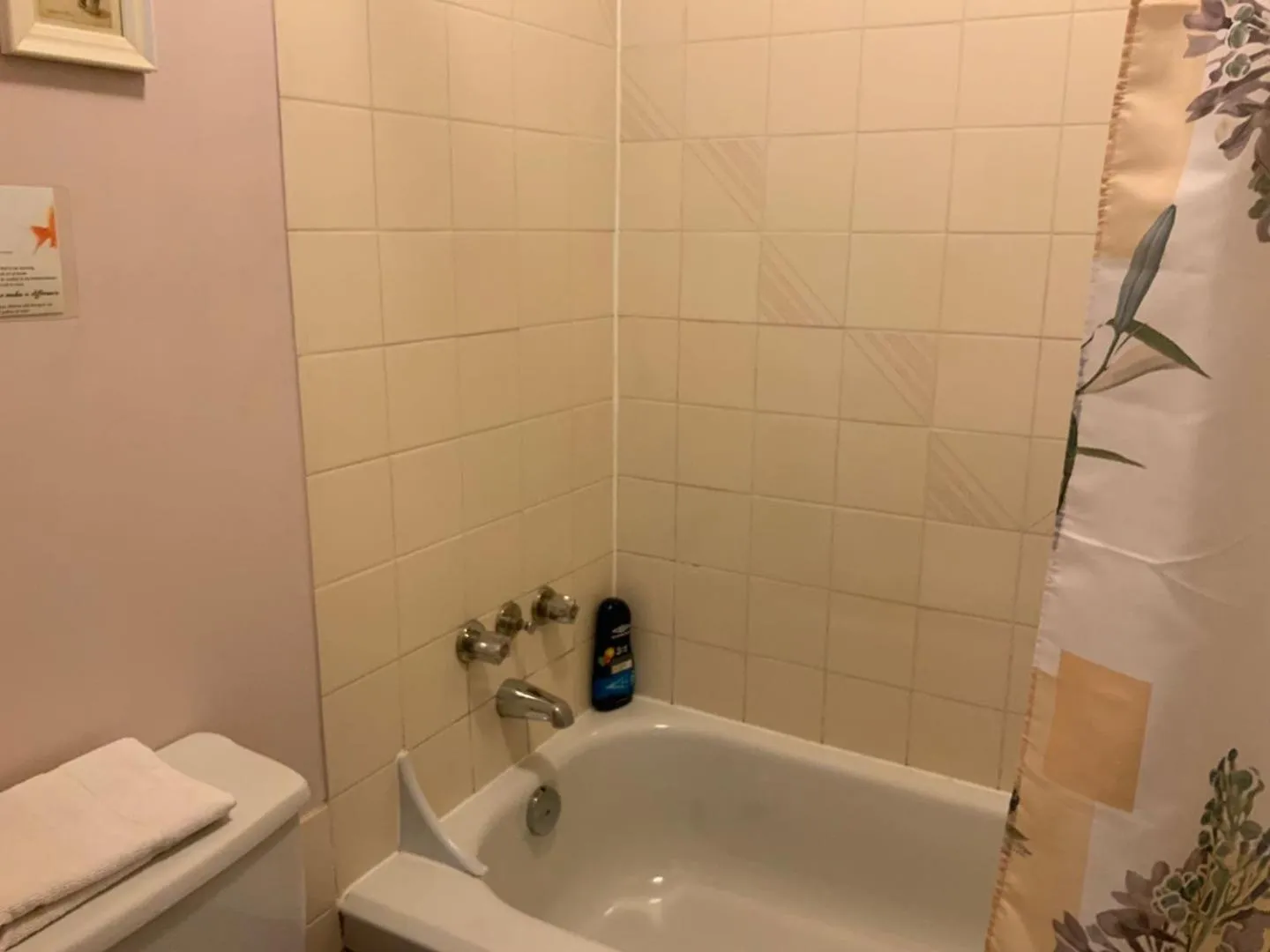 Bath in Motel Rayalco