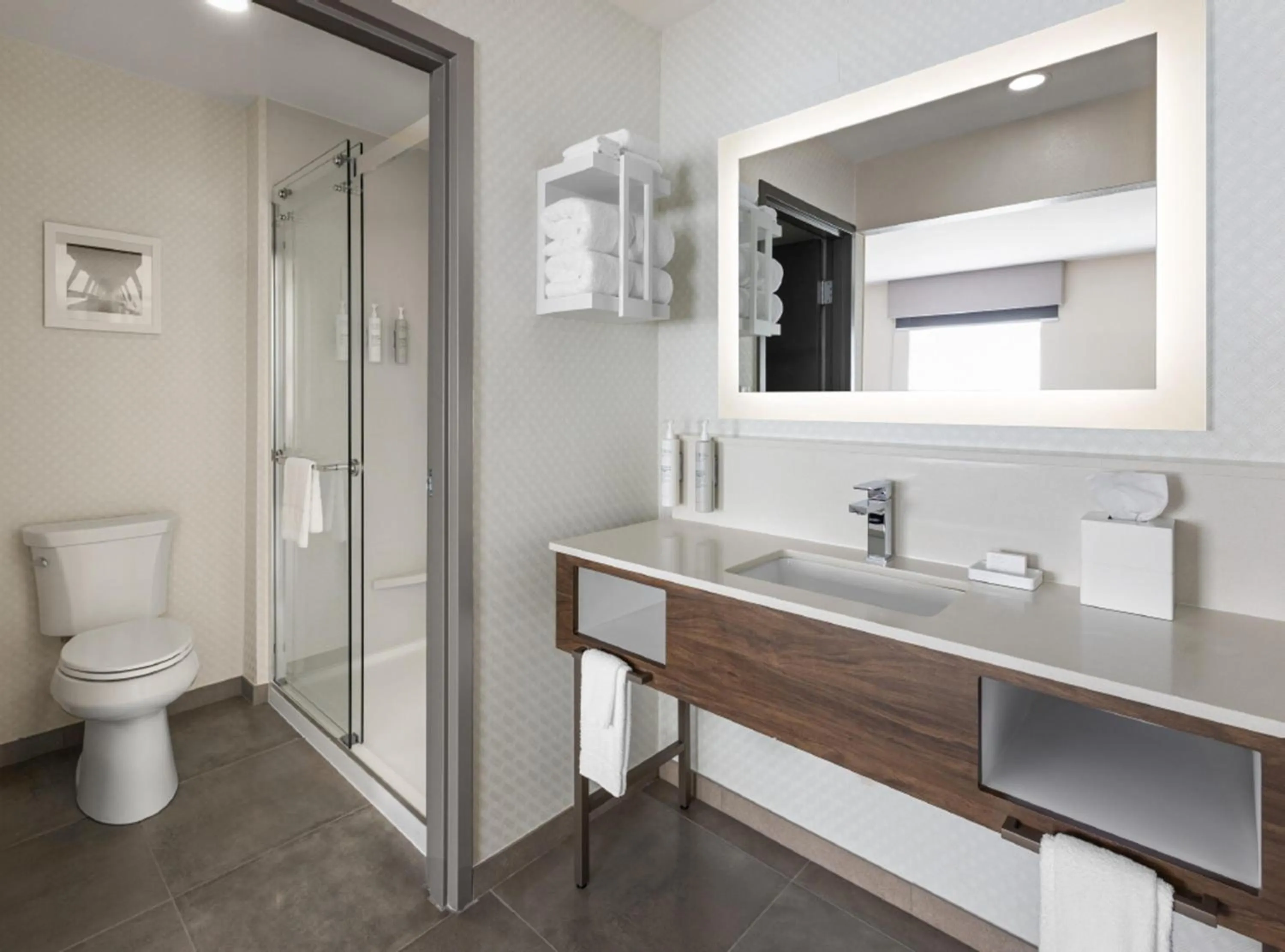 Bathroom in Hampton Inn & Suites Richmond Glenside