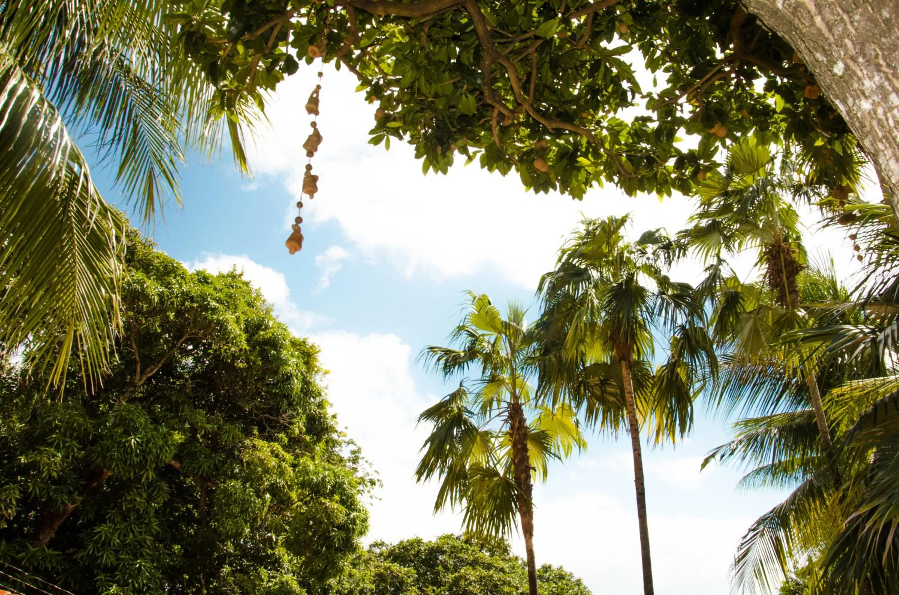 Day in Hotel Tubarão