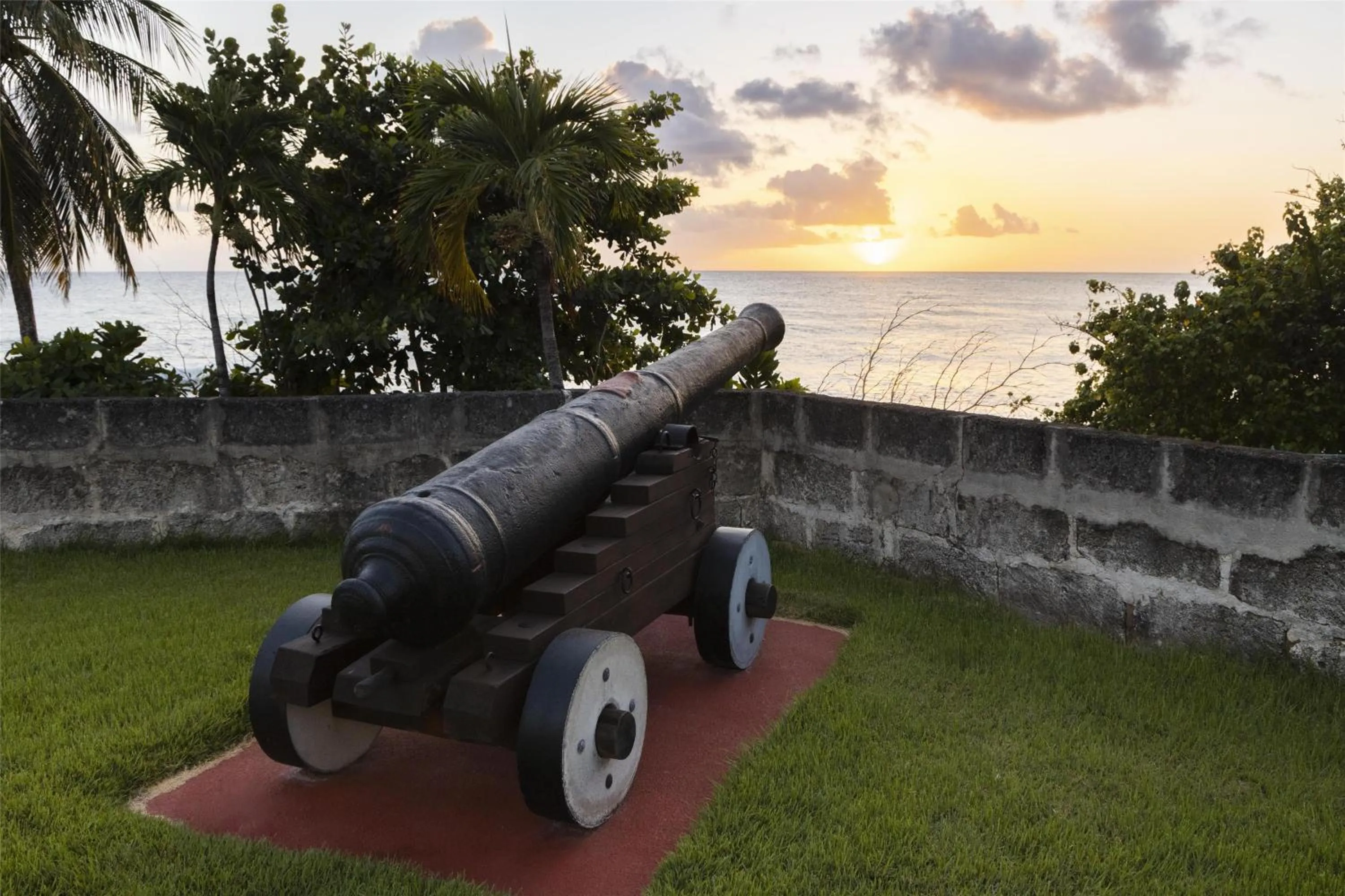 Garden in Hilton Barbados Resort