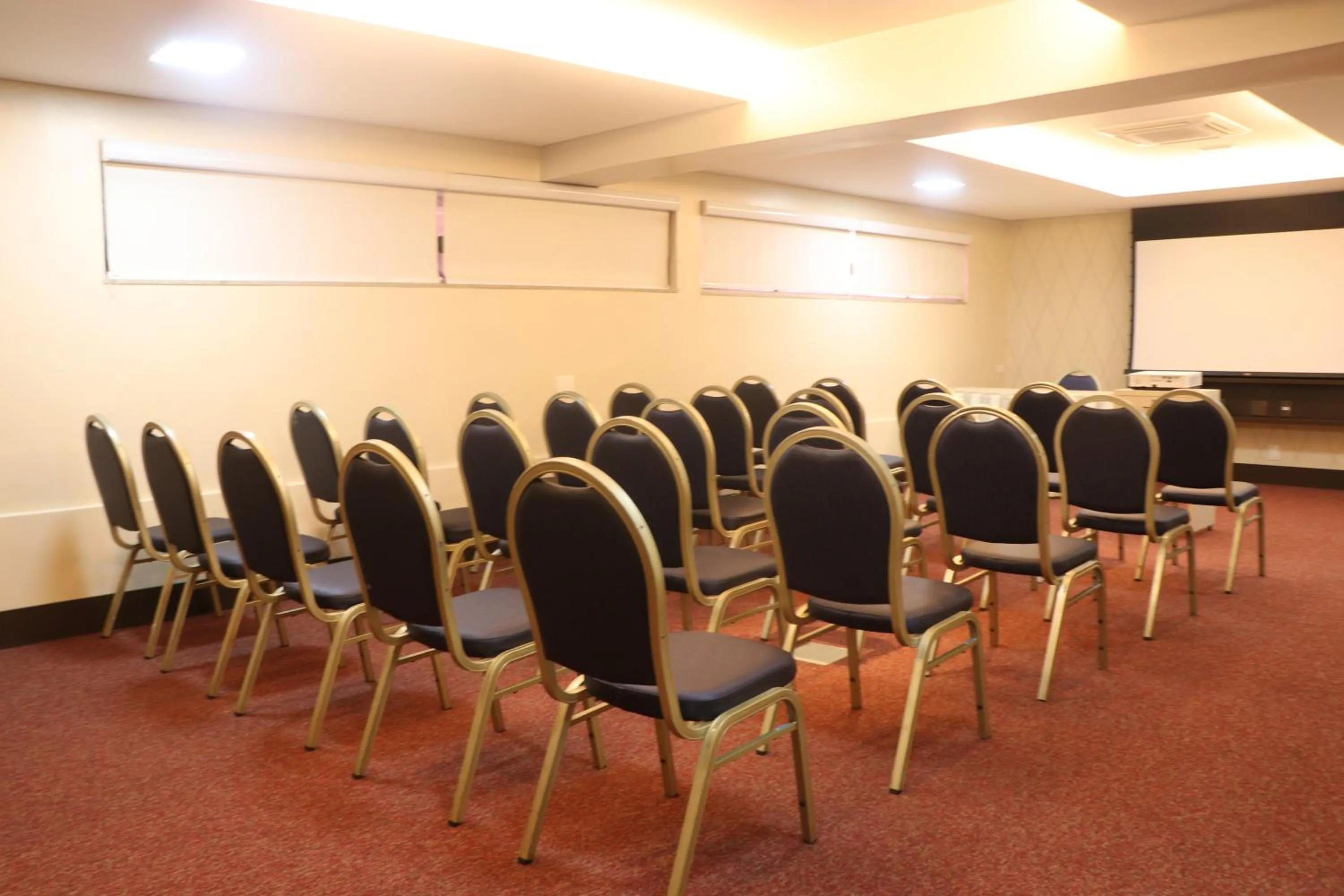 Meeting/conference room in Indaiá Park Hotel