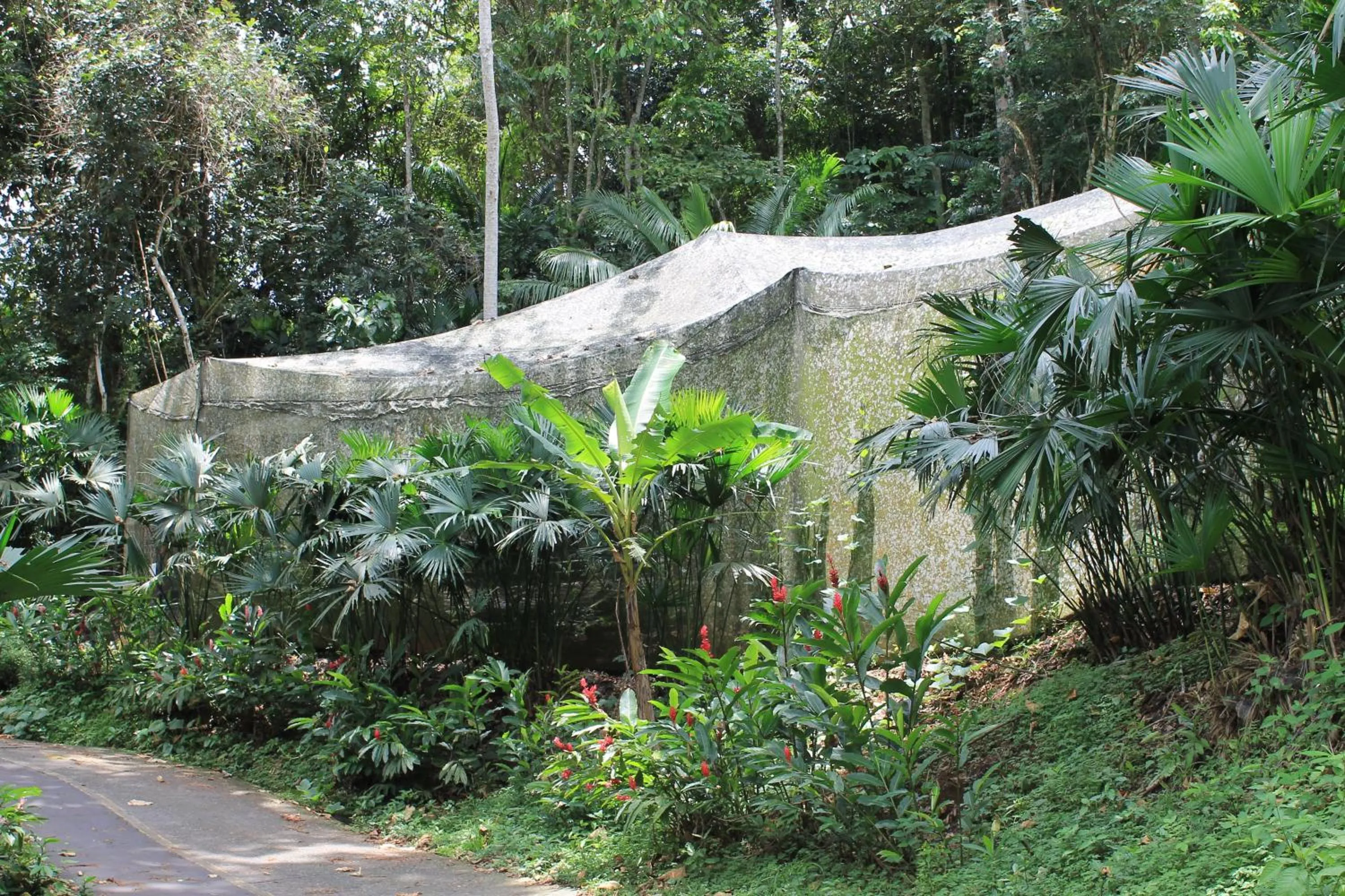 Activities in Summit Rainforest Golf Resort & All Inclusive