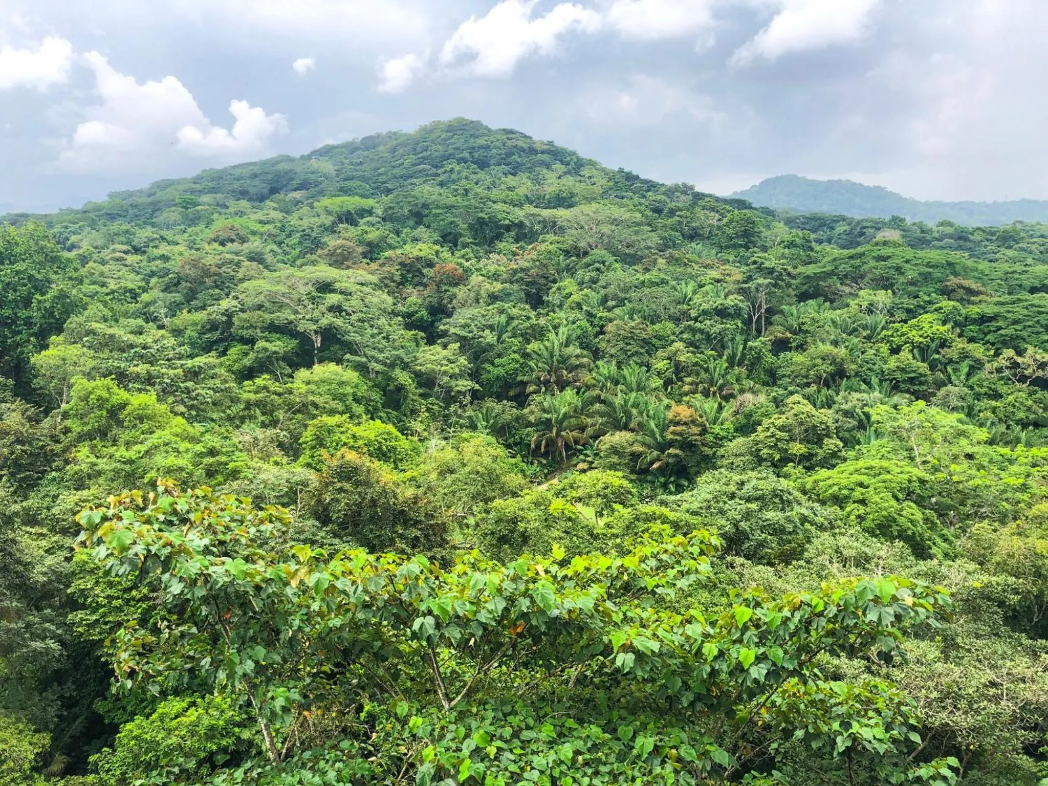 View (from property/room) in Summit Rainforest Golf Resort & All Inclusive