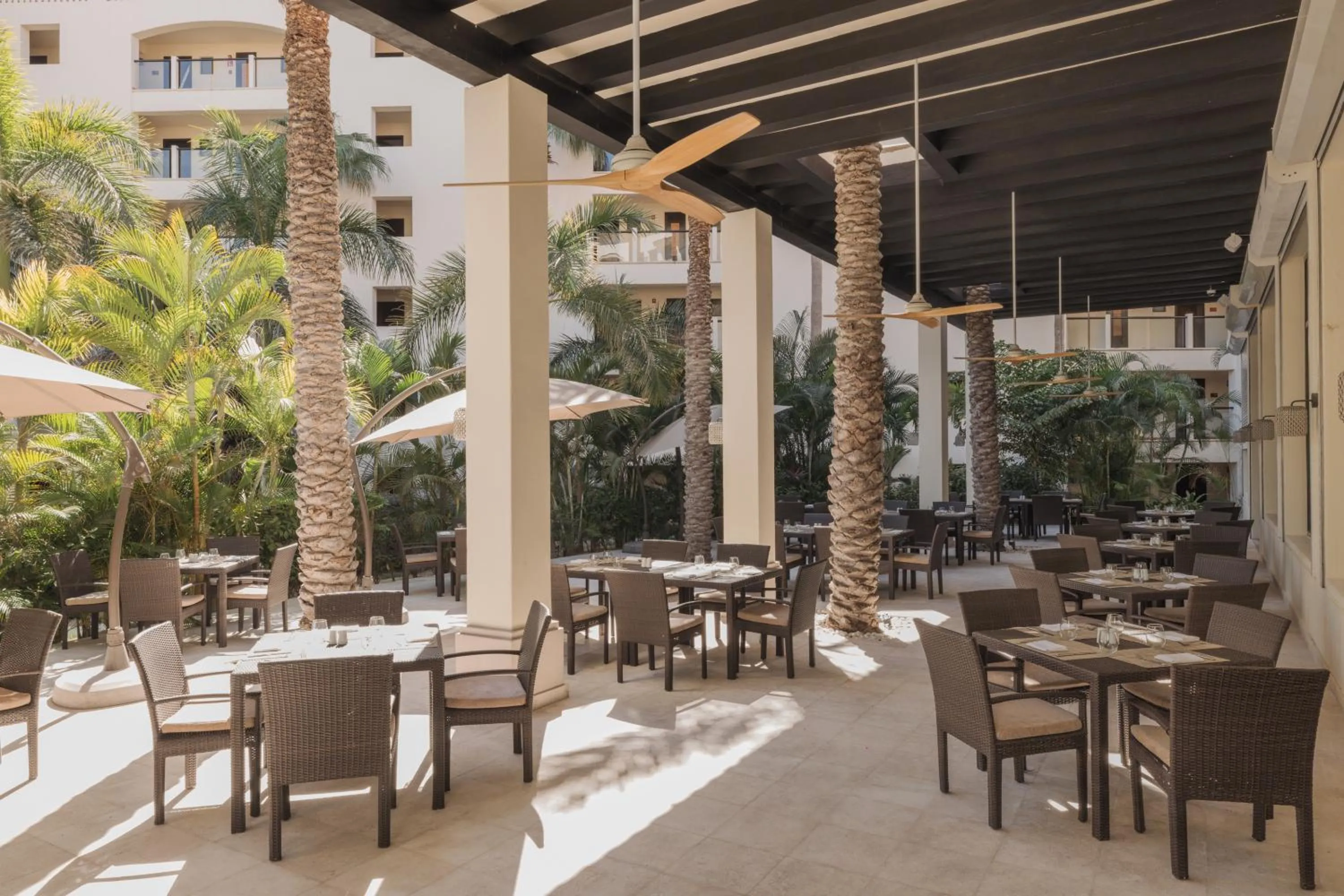 Restaurant/places to eat in Hyatt Ziva Los Cabos - All Inclusive