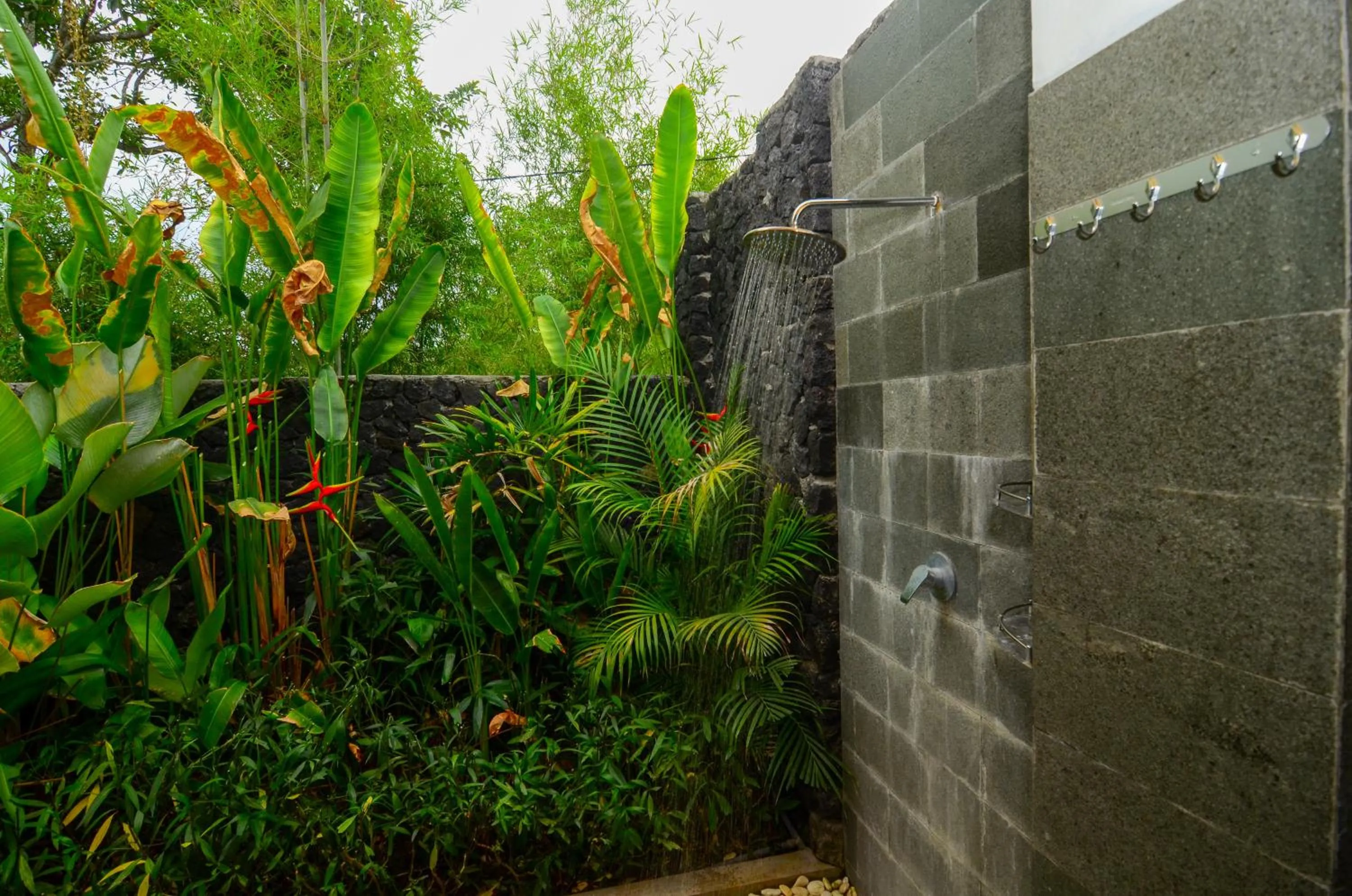 Bathroom in Bintang House
