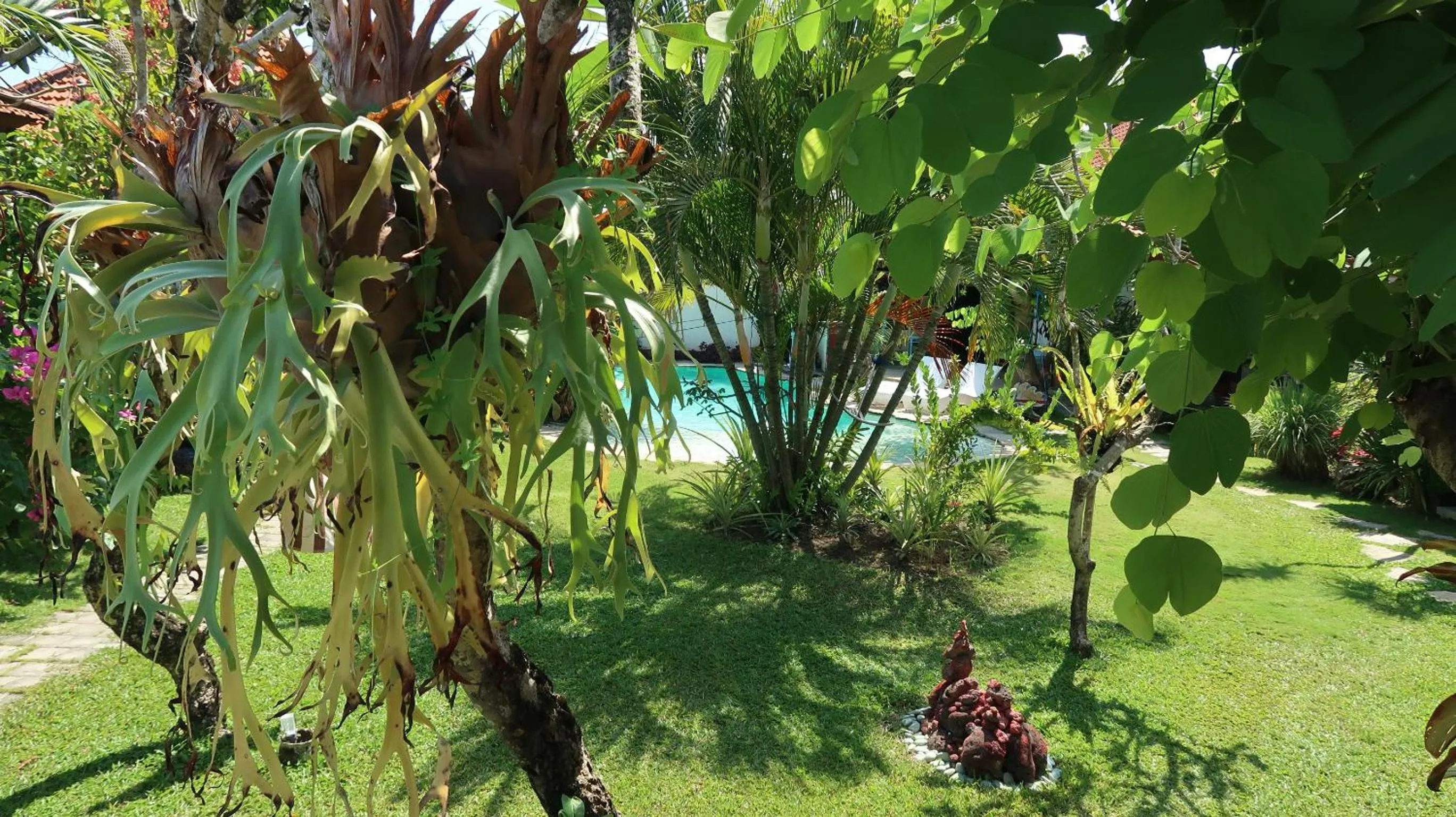Garden in Villa Shantitara Bungalows