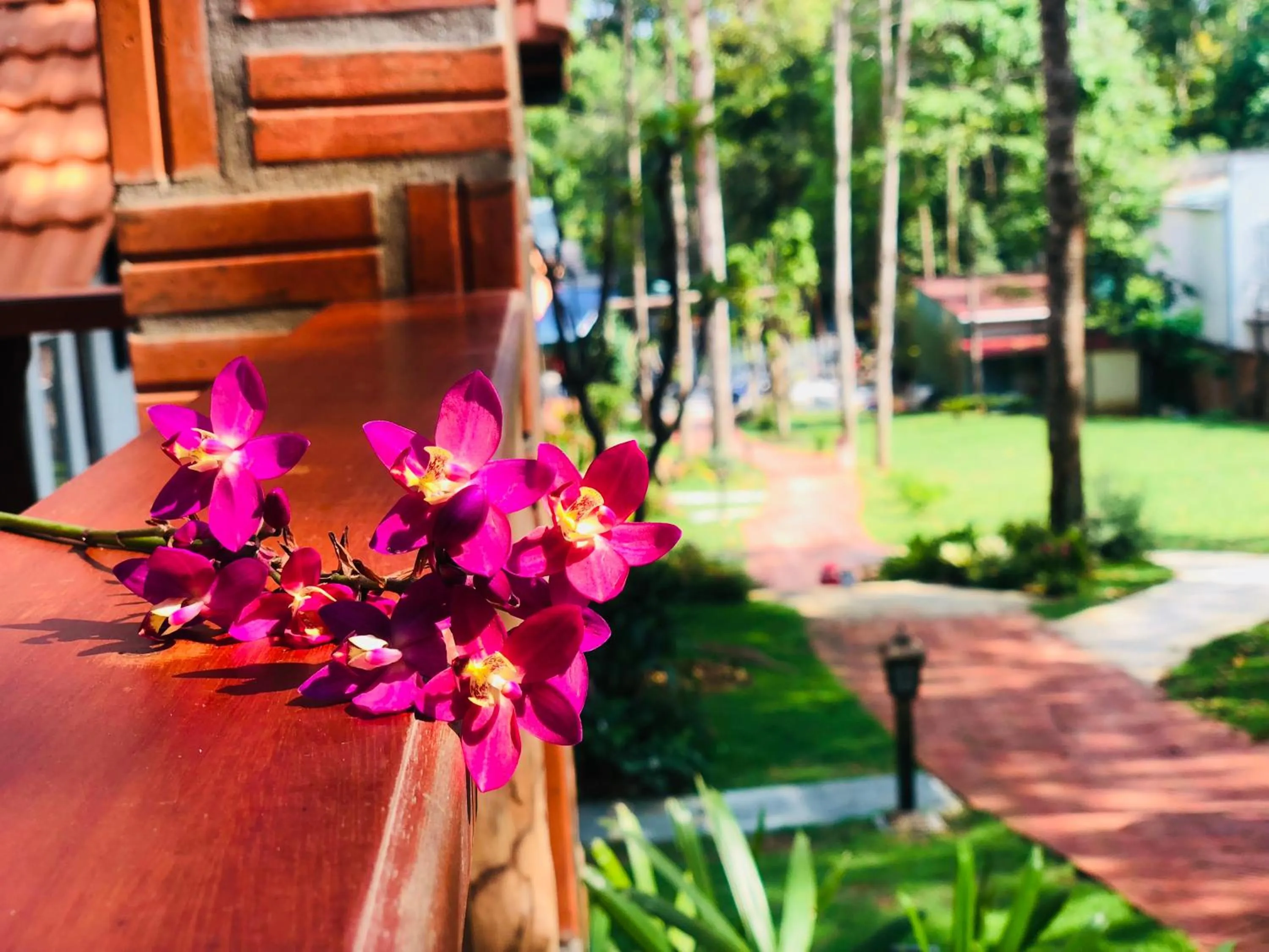 Đồi Sao Phú Quốc