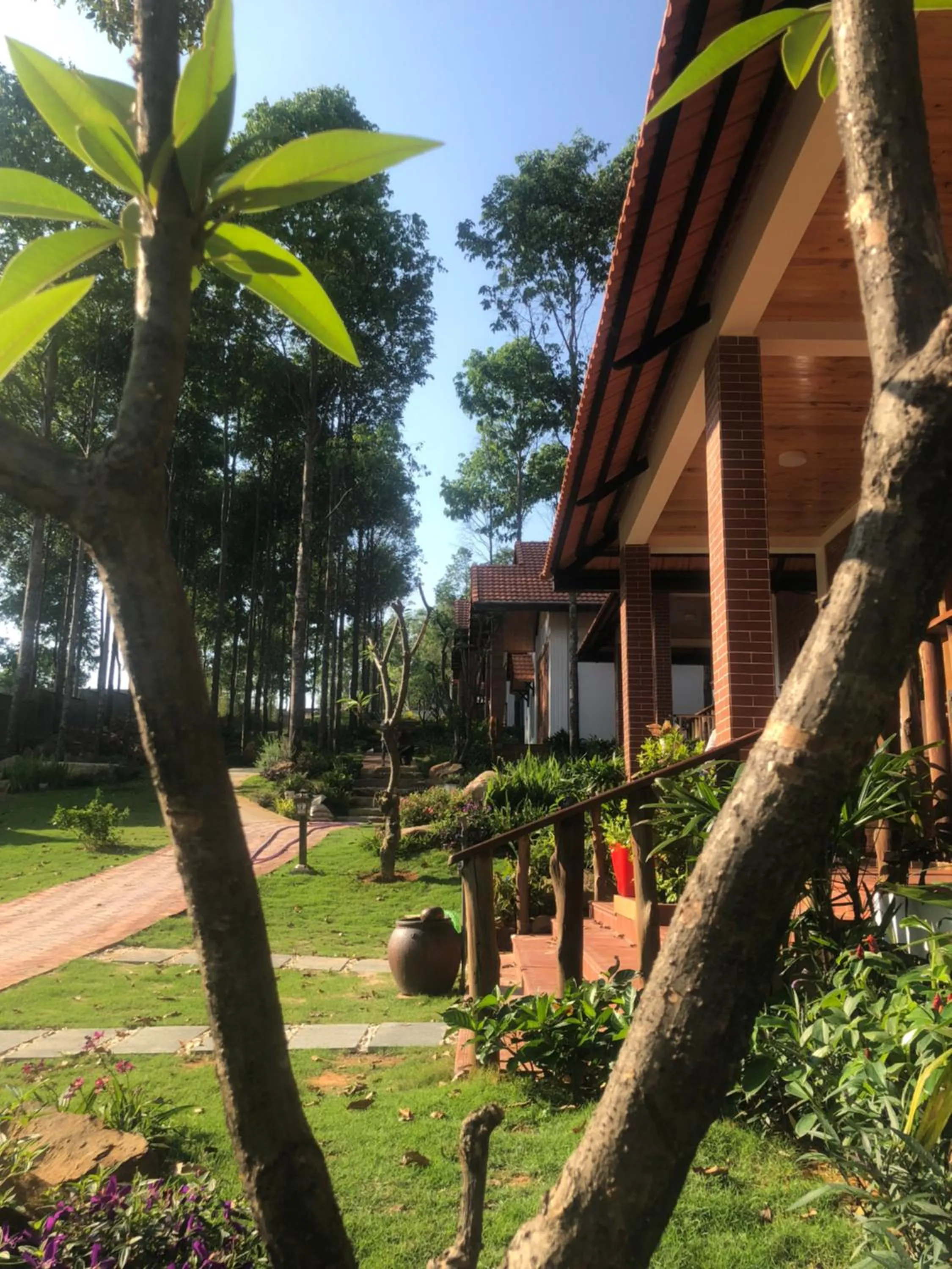 Đồi Sao Phú Quốc