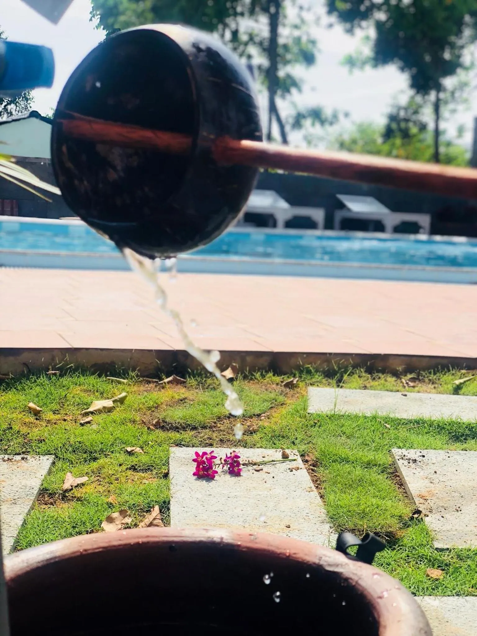 Đồi Sao Phú Quốc