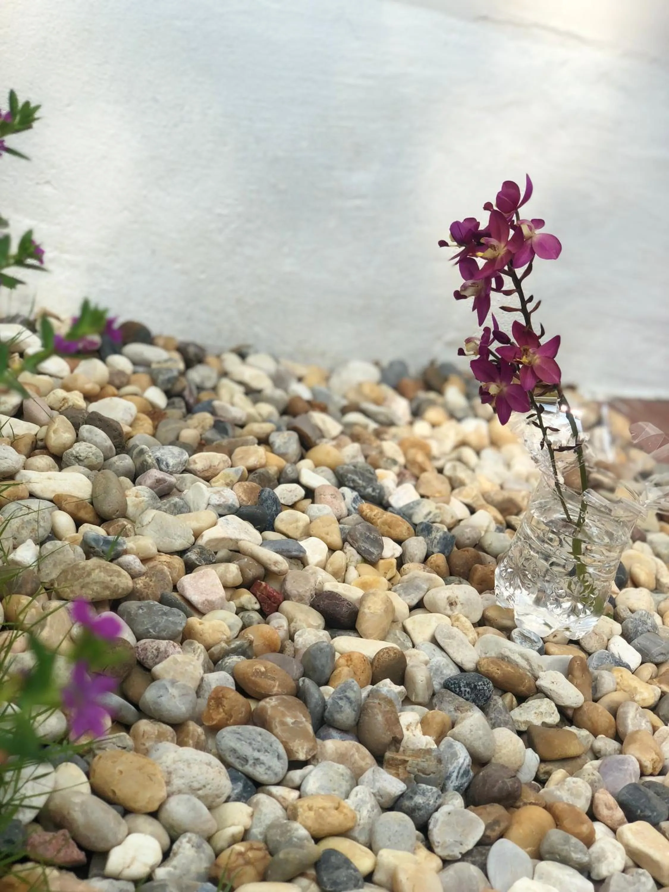 Đồi Sao Phú Quốc