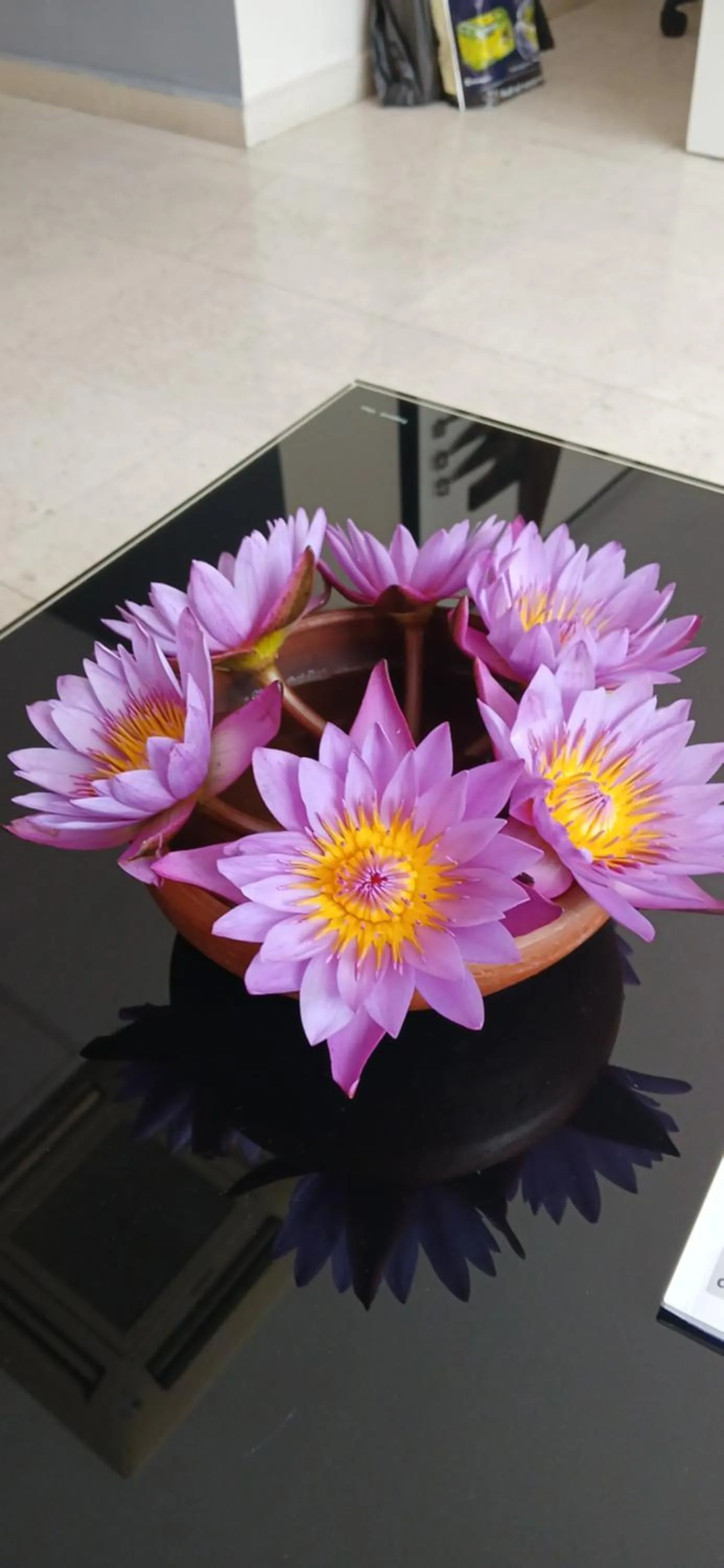 Property building in Ripon Grand Hill By EHI