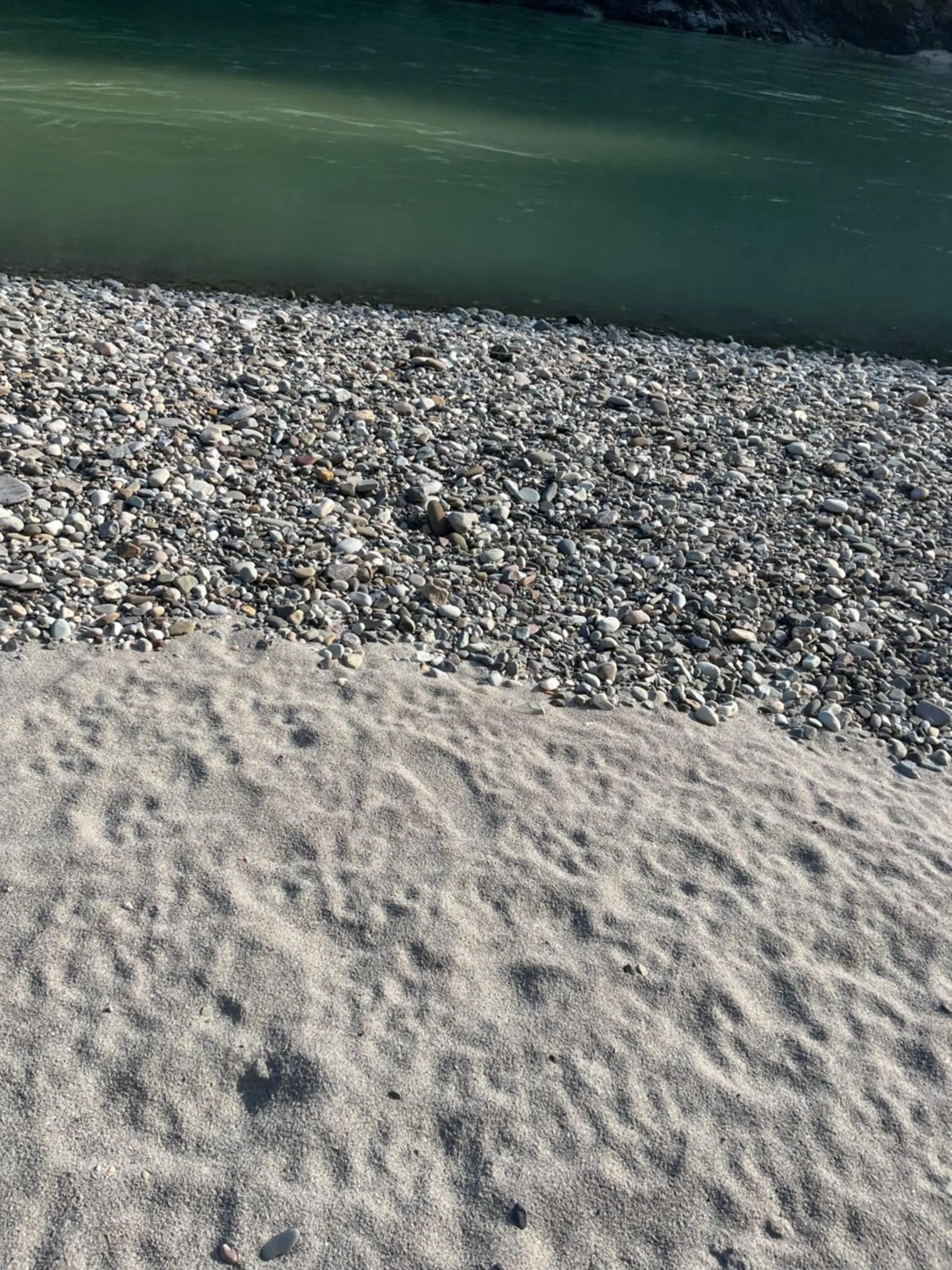 Samira's Birds & Butterflies Park-Spashram Ganga Beach Retreat