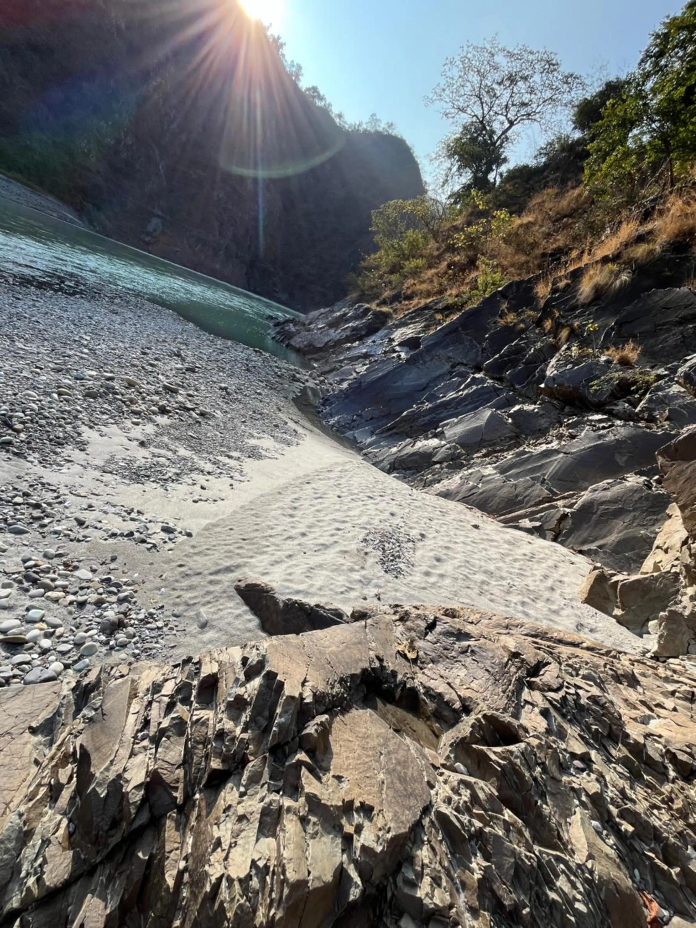 Samira's Birds & Butterflies Park-Spashram Ganga Beach Retreat